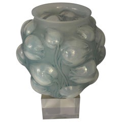 Vases