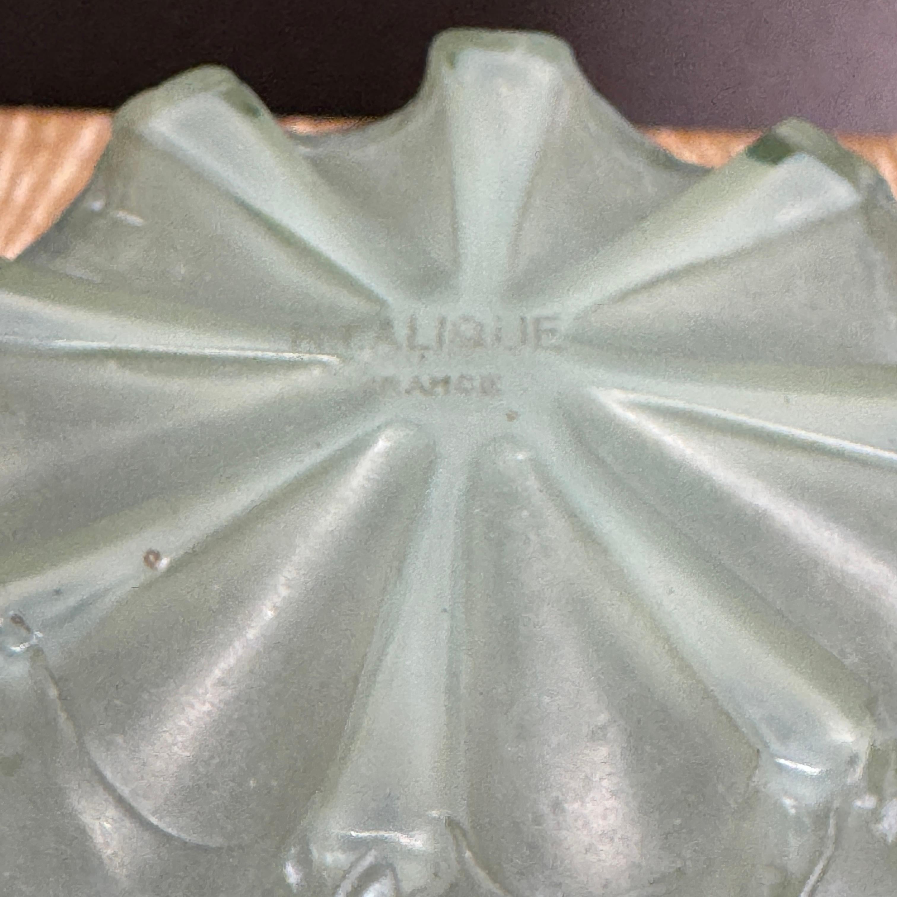 Un vaso colorato Chamois Céladon di R.Lalique in vendita 8