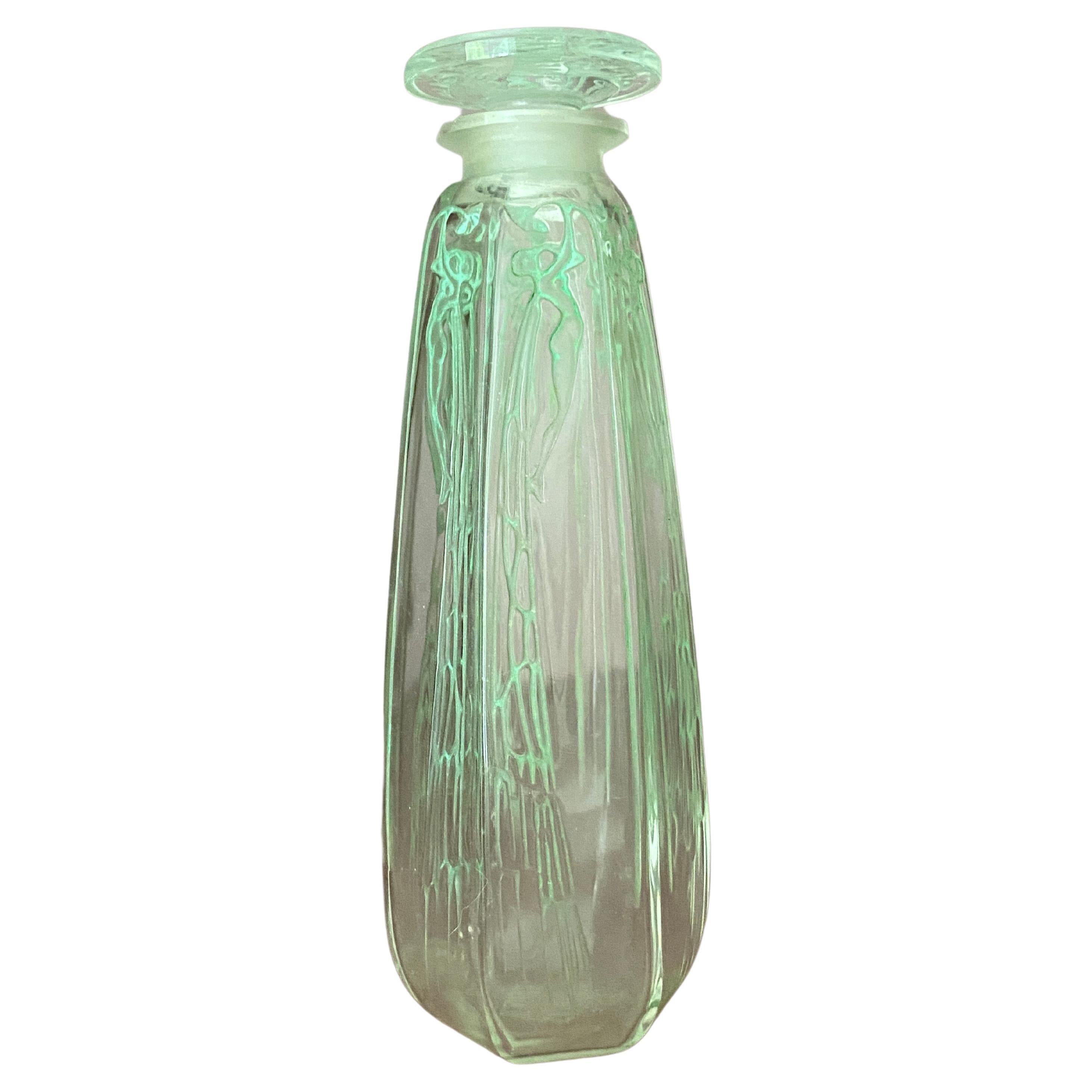 Un ciclamino R.Lalique  1909 Vetro  Bottiglia di profumo per Coty