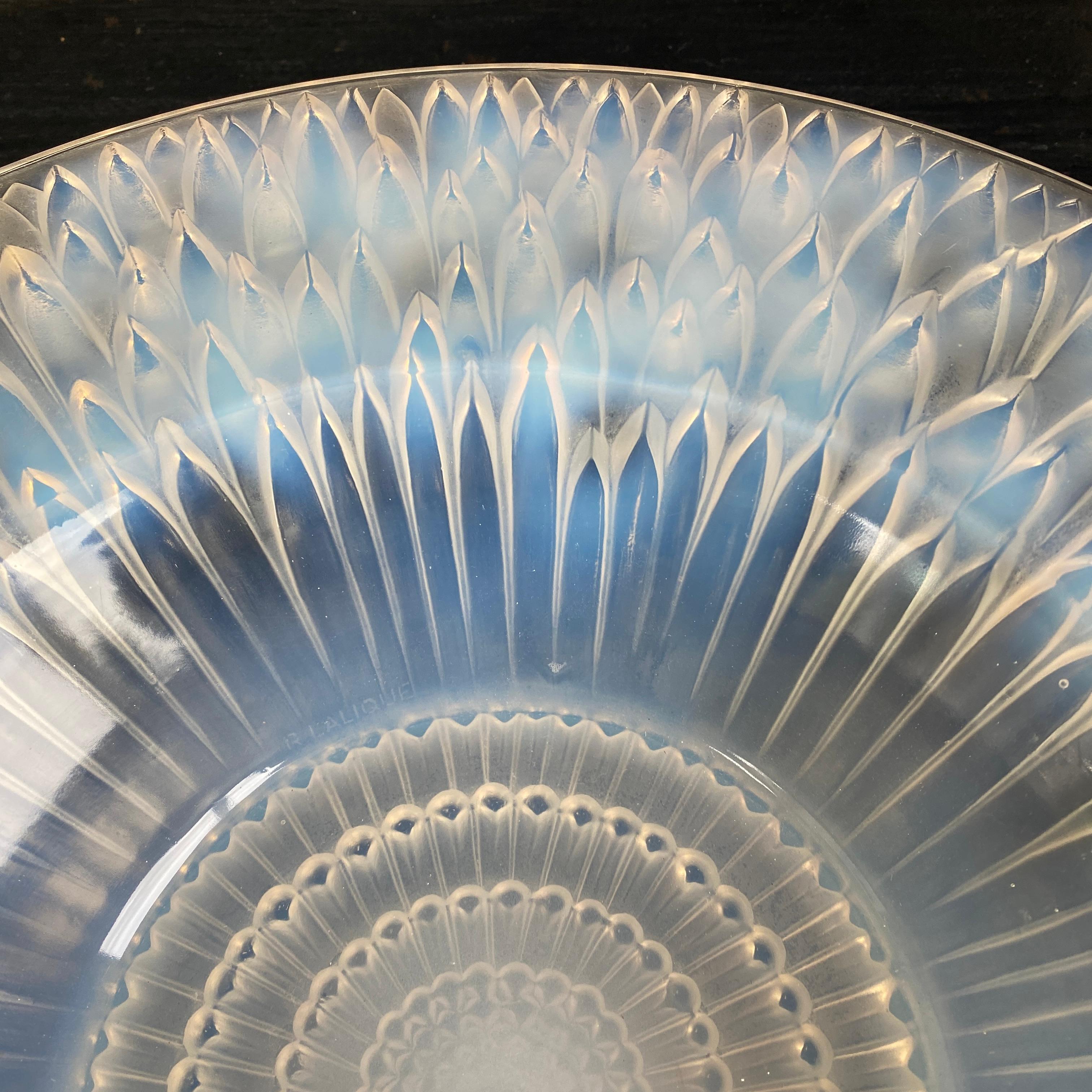 A R.Lalique  Flora  Bella plate in Opalescent glass For Sale 1