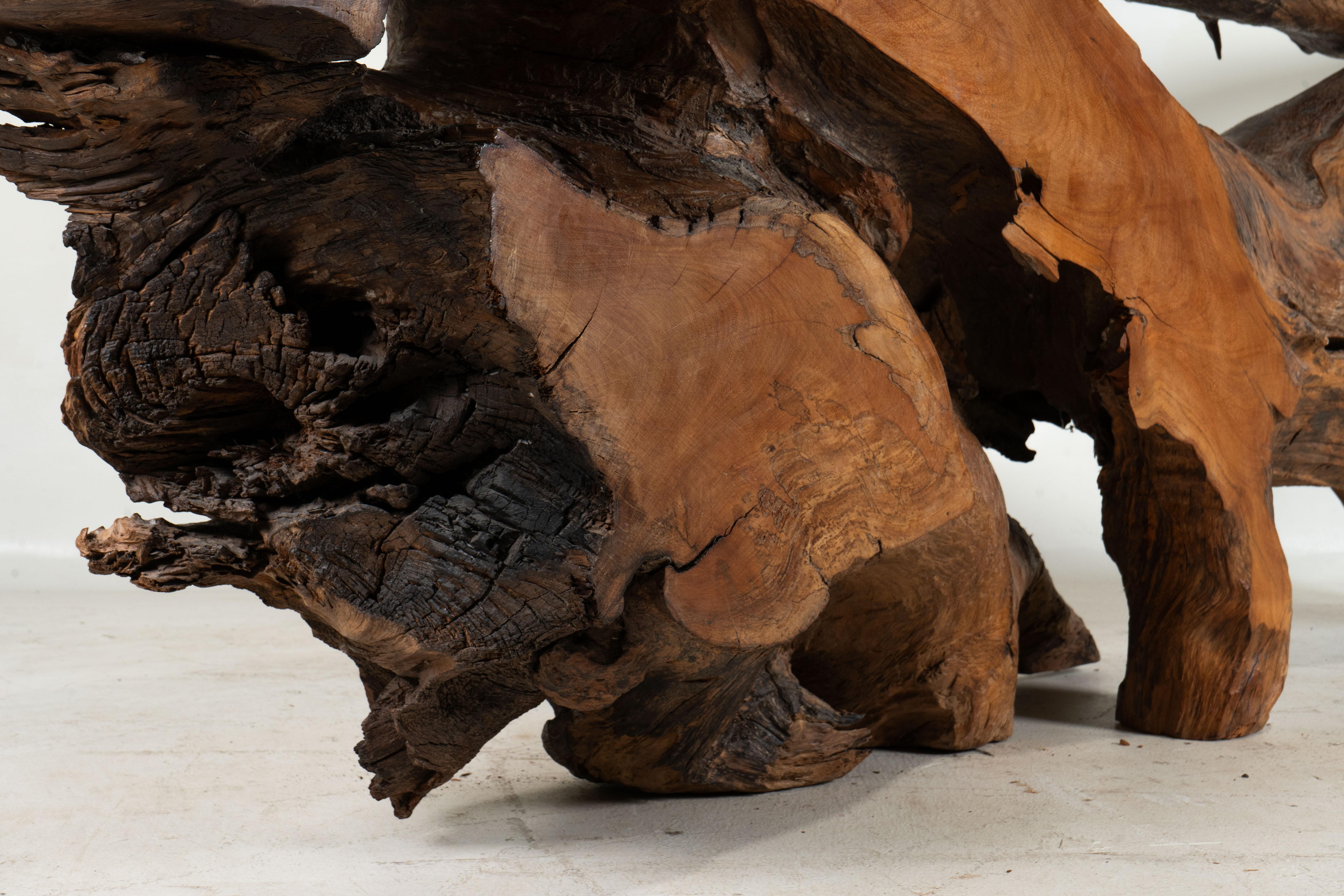 A Rosewood Tree Root Console Table 5
