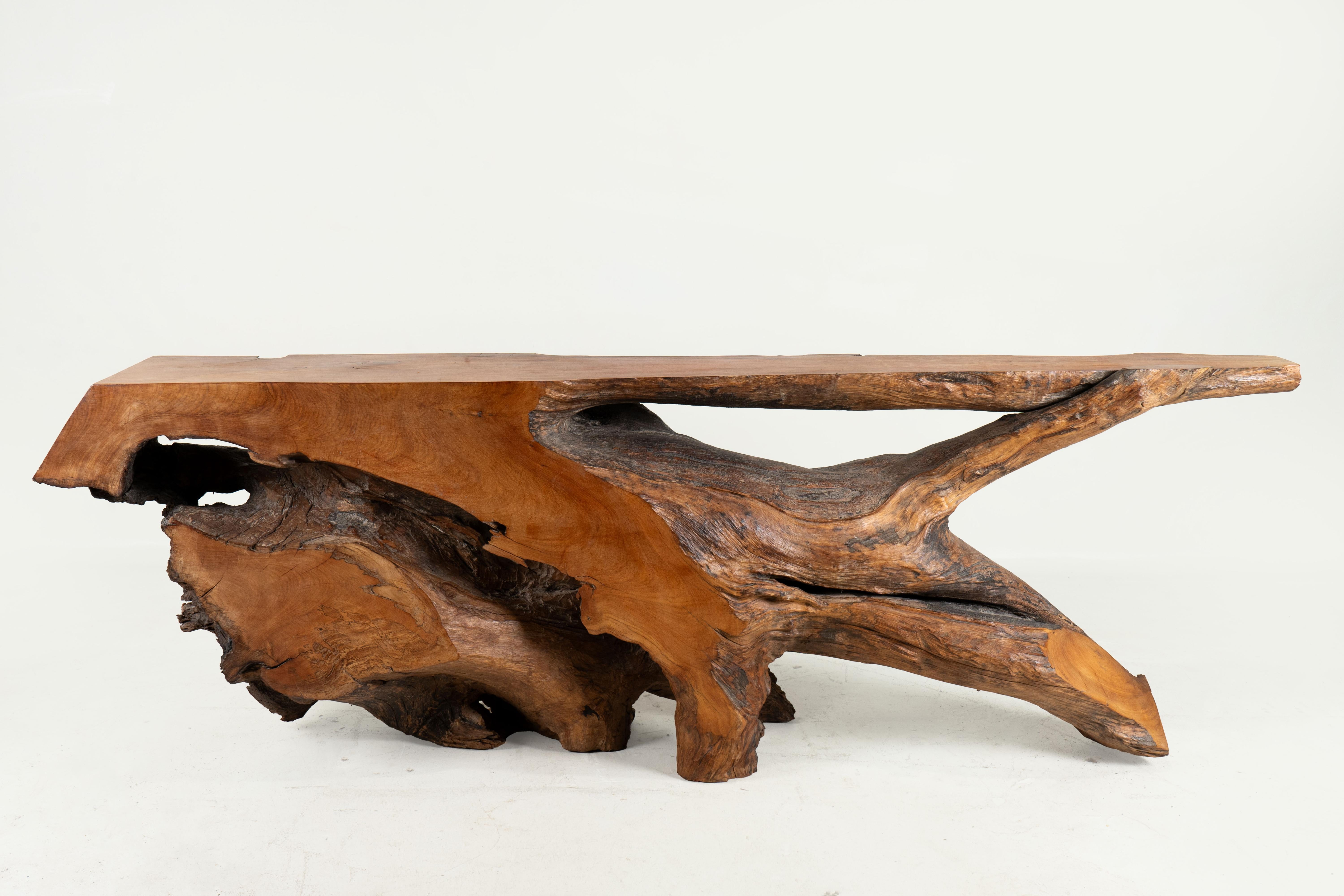 This extraordinary console table is made from a single section of an enormous rosewood root.  In the Northern Thai forest, dead tree stumps (and roots) are sometimes excavated with the help of modern equipment. This tree root was harvested in the