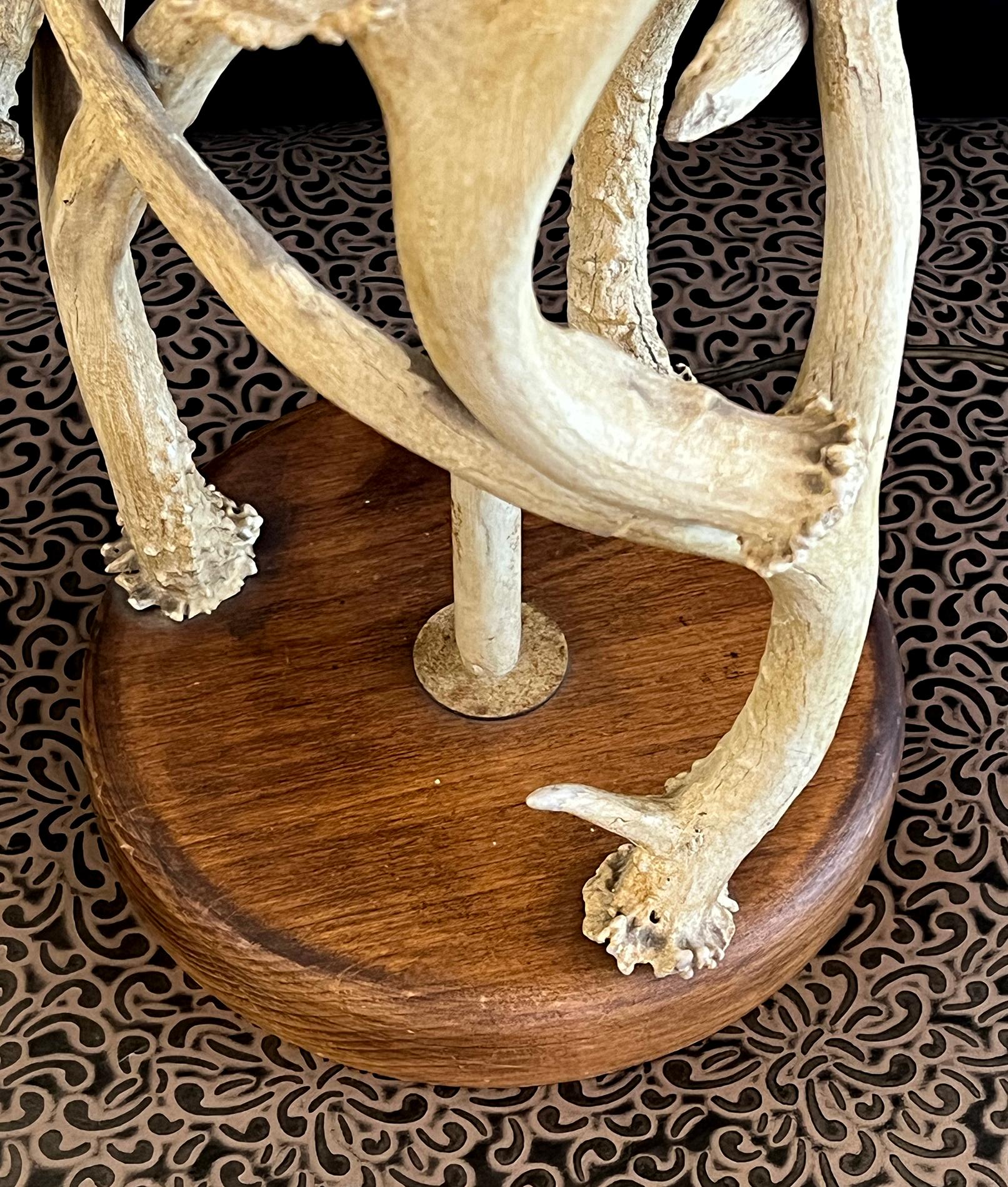 A Rustic Antler-Form Table Lamp In Good Condition For Sale In San Francisco, CA