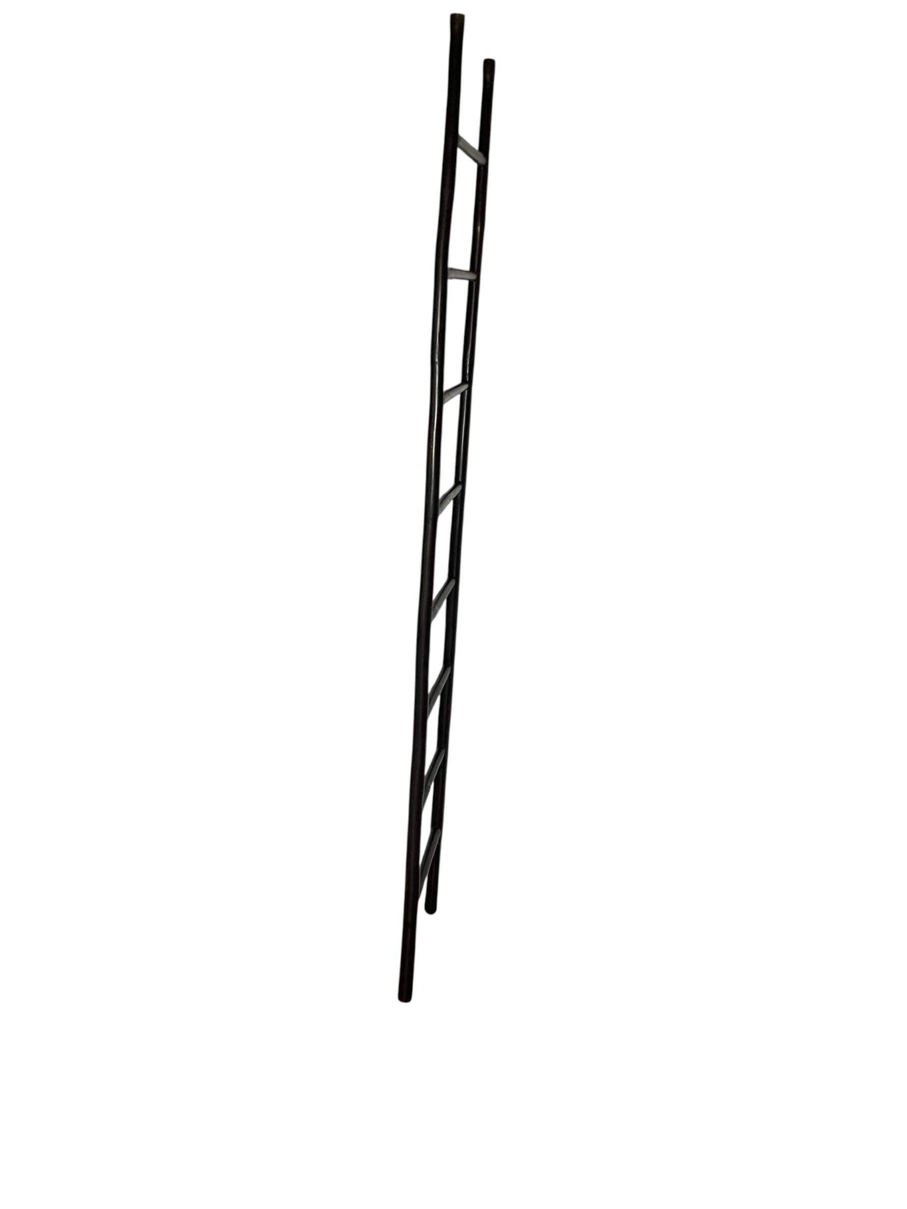 Échelle rustique ébonisée à 8 échelons en bambou, porte-serviettes ou présentoir. Organisez vos serviettes de bain ou les couvertures de votre chambre à coucher avec ce porte-échelle incliné qui s'harmonisera avec votre intérieur au thème moderne.
