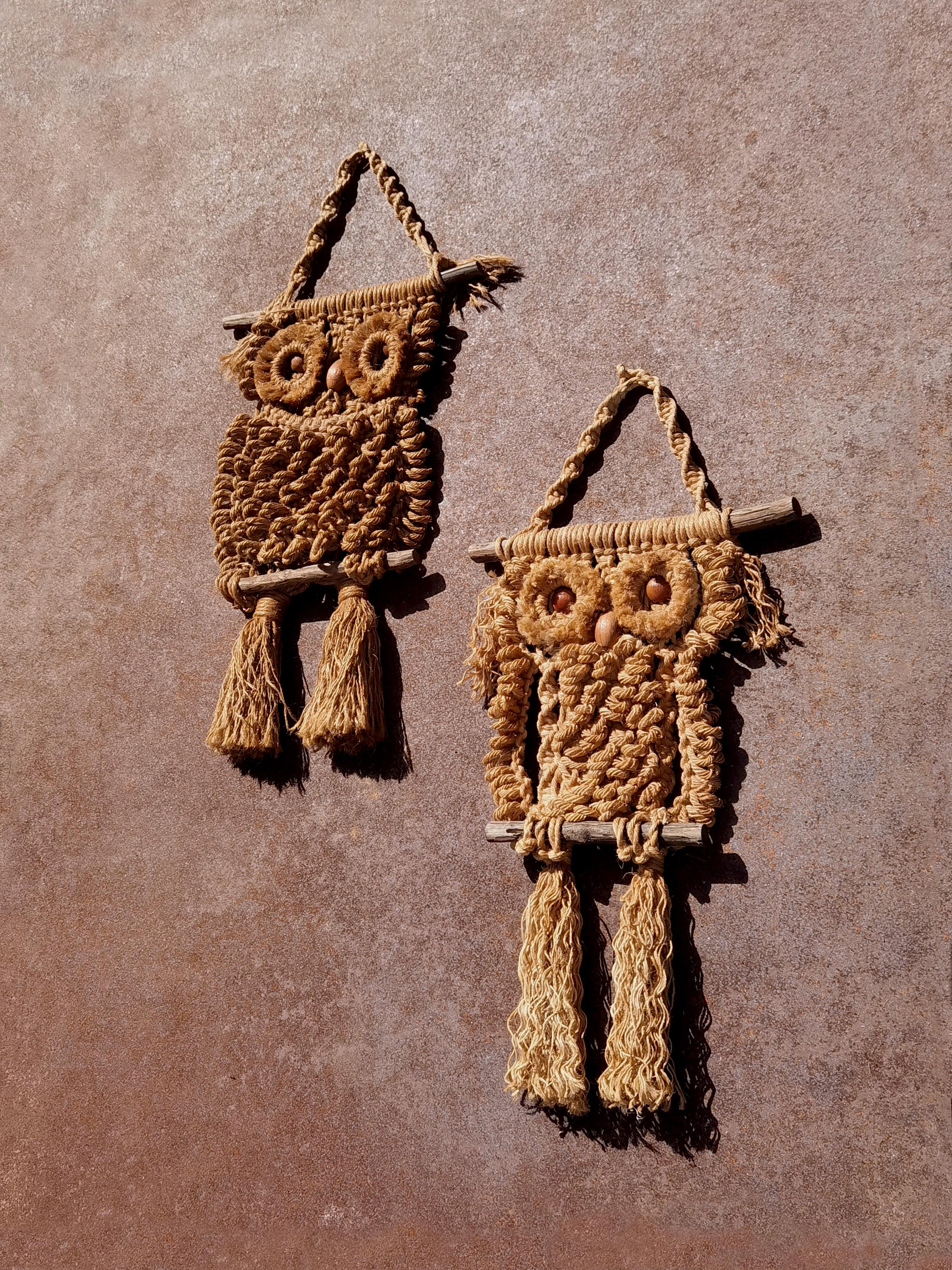 Rope A RUSTIC MODERN BRUTALIST PRIMITIVIST Animalist OWL Wall Sculpture France 1970 For Sale