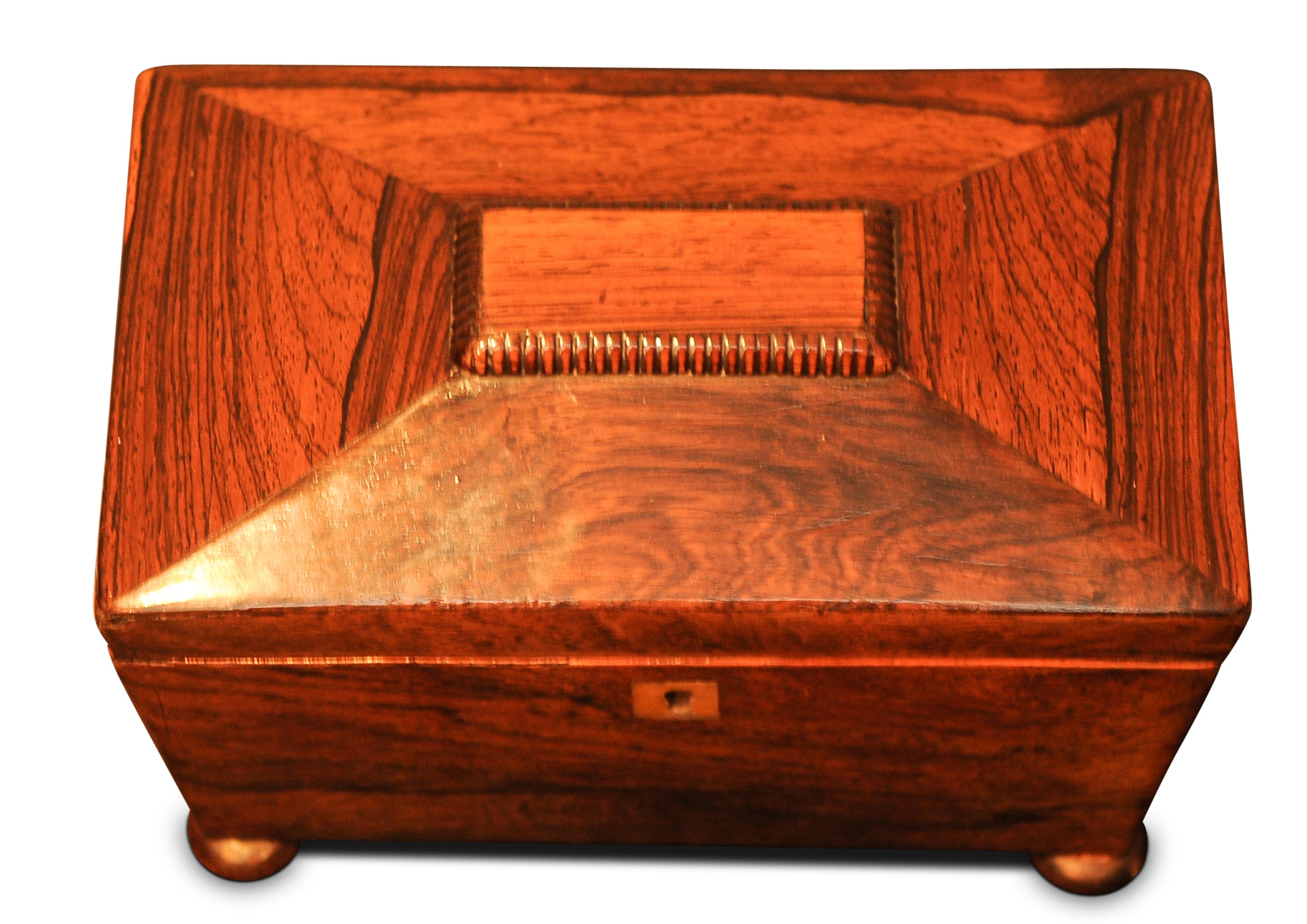 British A Sarcophagus Shaped Regency Rosewood Tea Caddy With Separate Tea Compartments For Sale