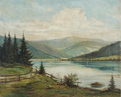 Mid Century Napa Lake Berryessa Landscape