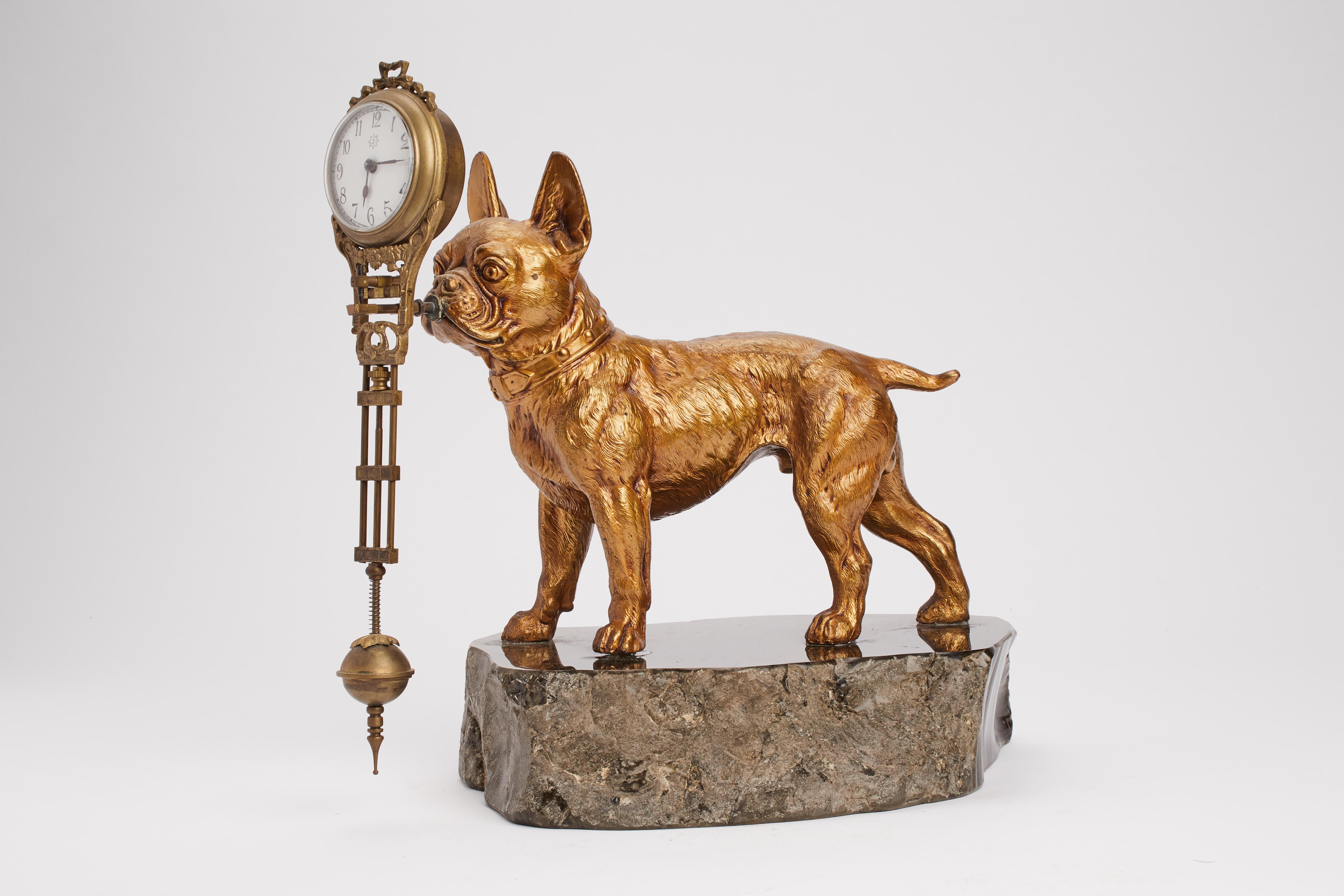 A sculpture depicting a french buldog holding a pendulum clock. Over a green marble base, with moved profile of a bronze gilded depicting a French buldog, holding in his mouth a pendulum clock, wich entirely oscillate, the top part with all the