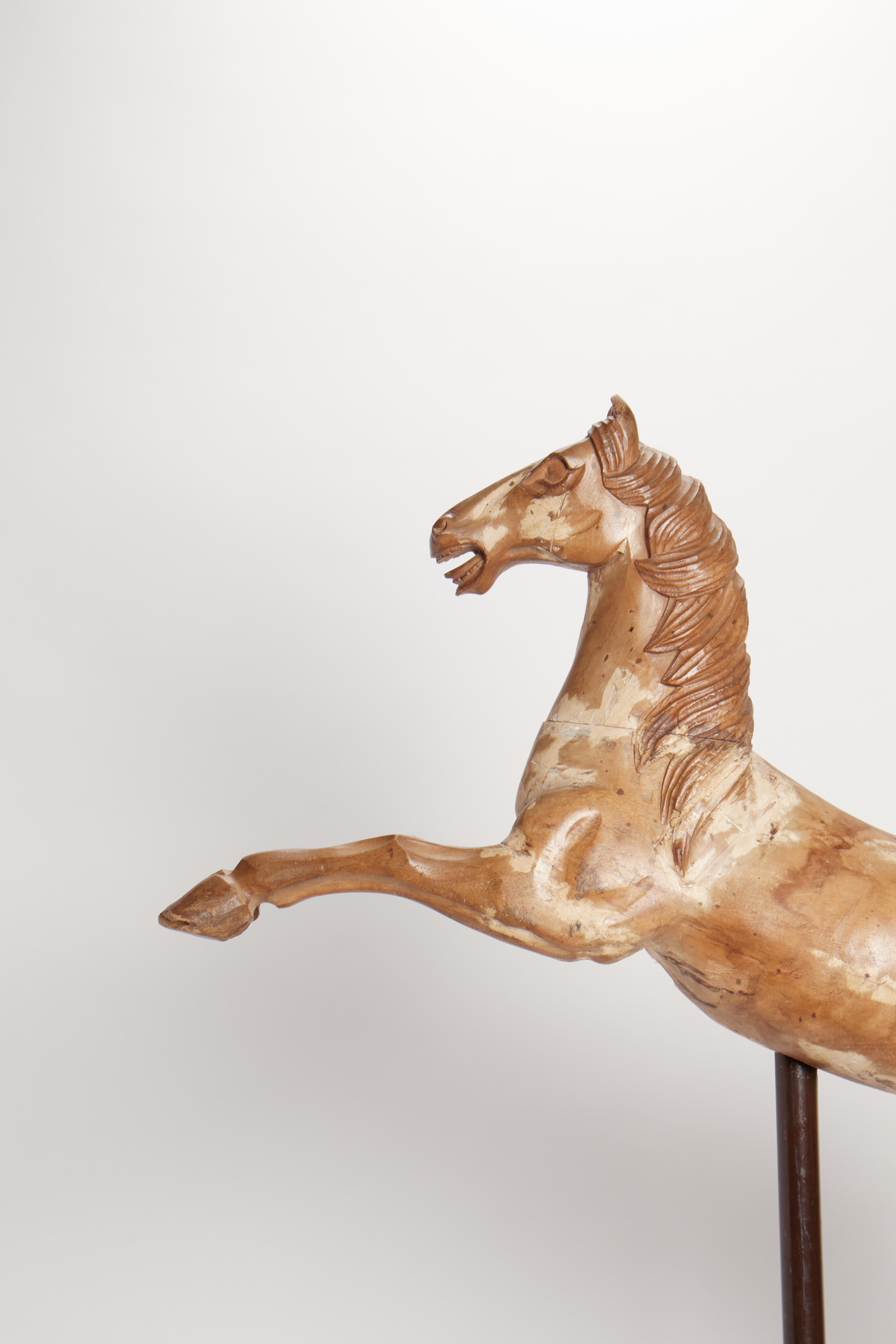 An old Italian wooden sculpture of a rampant carrousel horse. Modern metal base. Measure refers to the horse only. Italy, 1750 ca.