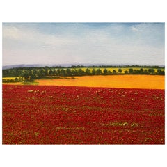 "A Sea Of Poppies" Contemporary Oil Painting by David Williams