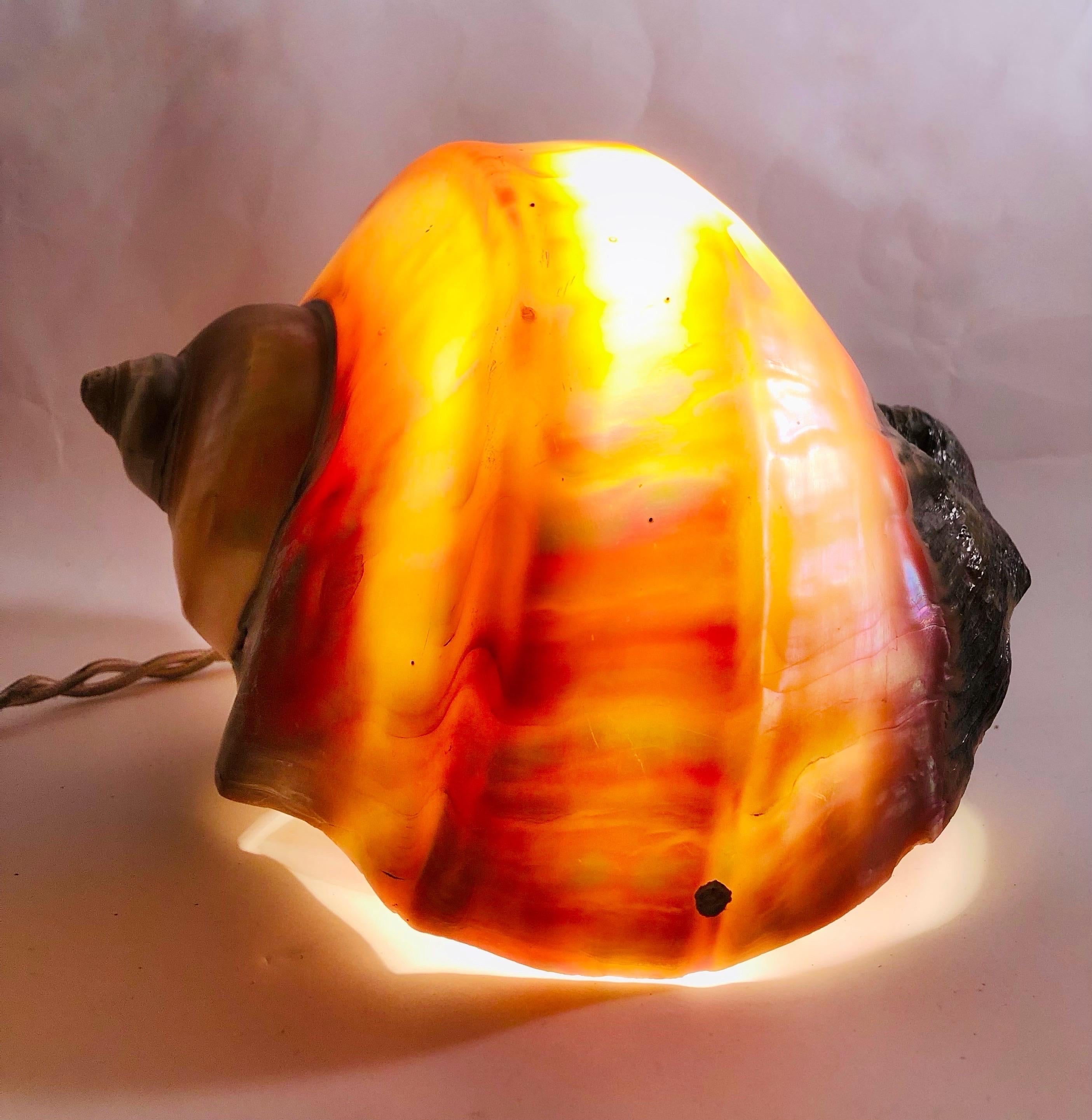Français Une énorme lampe « escargot de mer » - Art populaire français - 1970 en vente
