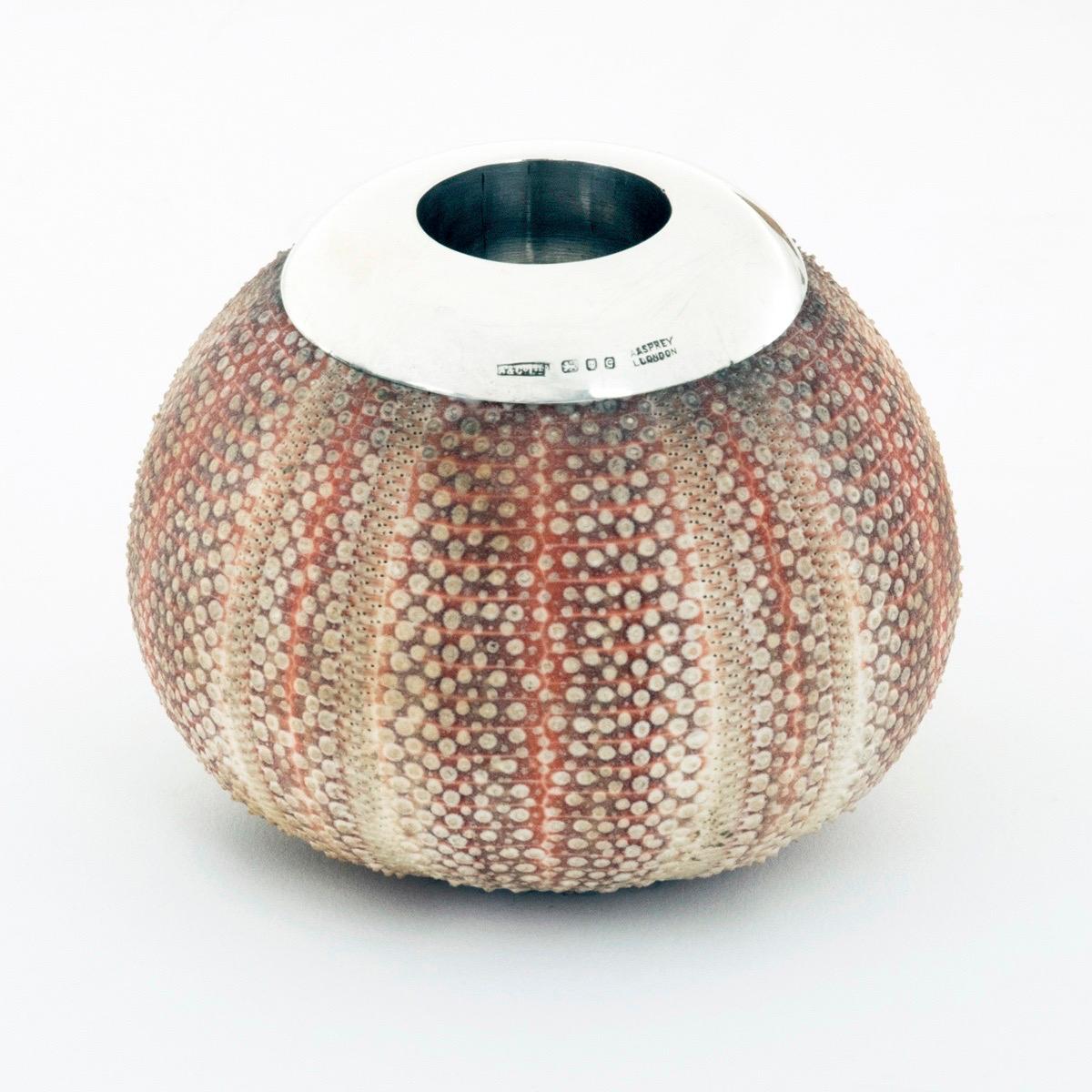 A sea urchin match striker by Asprey, 1960, the pinkish shell with the spines polished away, applied silver collar round the neck, fully stamped for Asprey & Co., 1960.  English.
