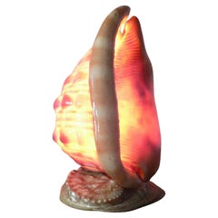 A "seashell" lamp - French folk art - 1960s