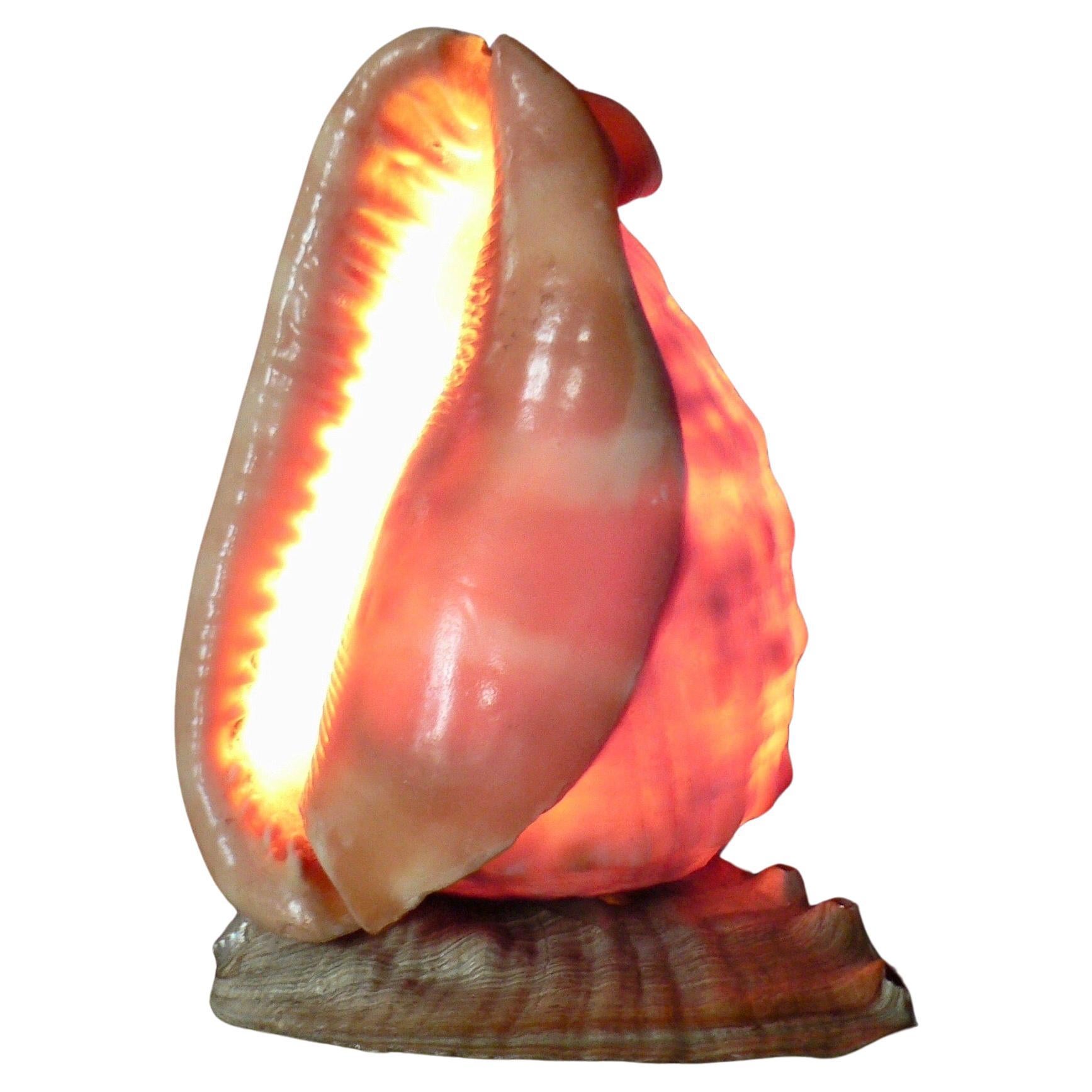 A "seashell" lamp - French folk art - 1960s For Sale