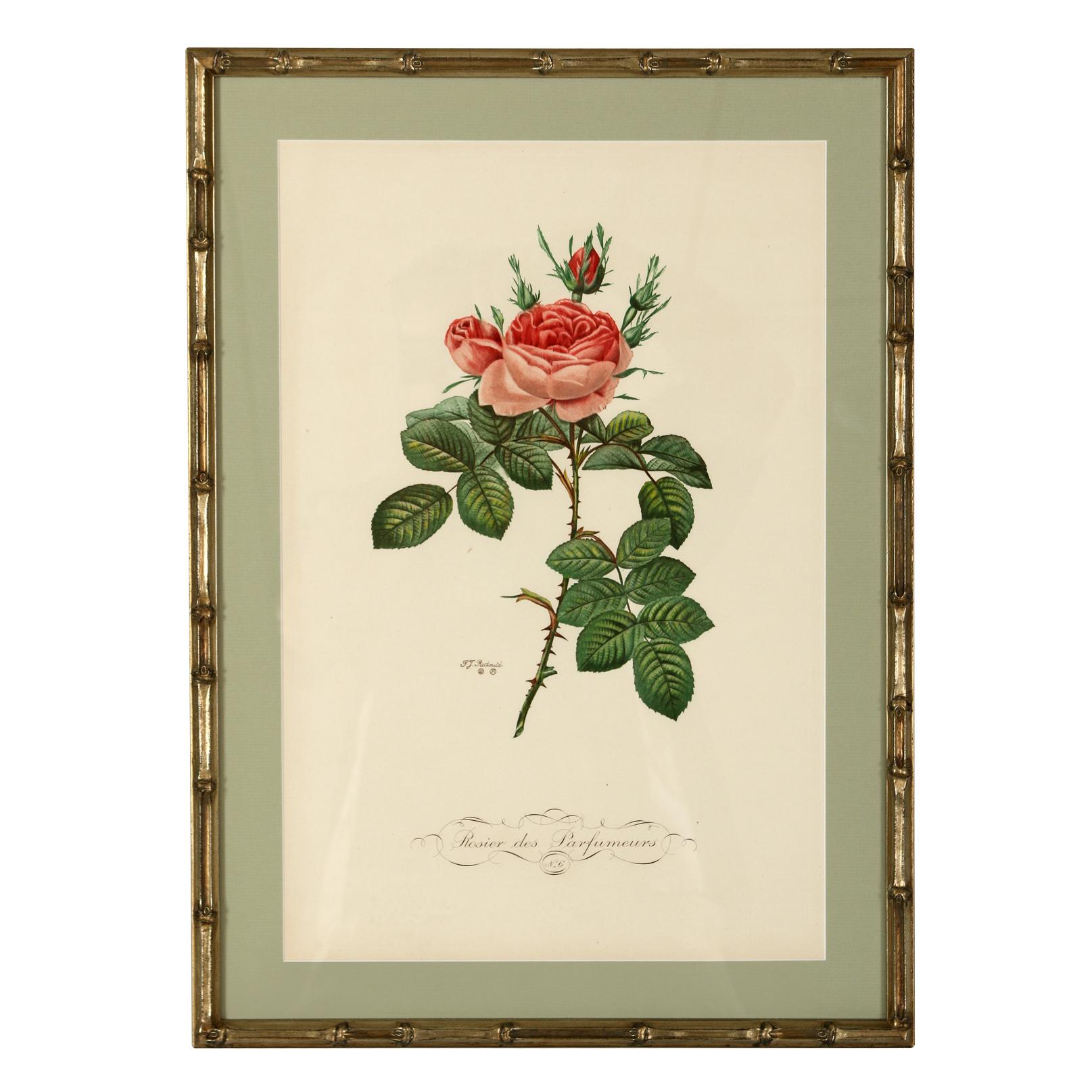 French Botanical Prints of “Fleurs et Fruits” (Flowers and Fruits) created by Pierre-Joseph Redouté and Jean-Louis Prevost, two of the finest botanical artists of the early 19th century.  The prints are matted in a soft green to complement the