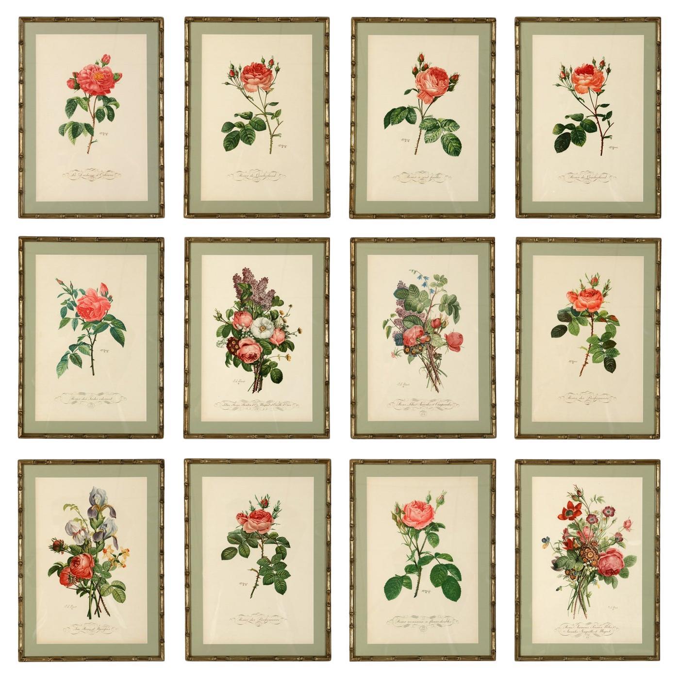 A Series of Botanical Prints from France in Faux Bamboo Frames