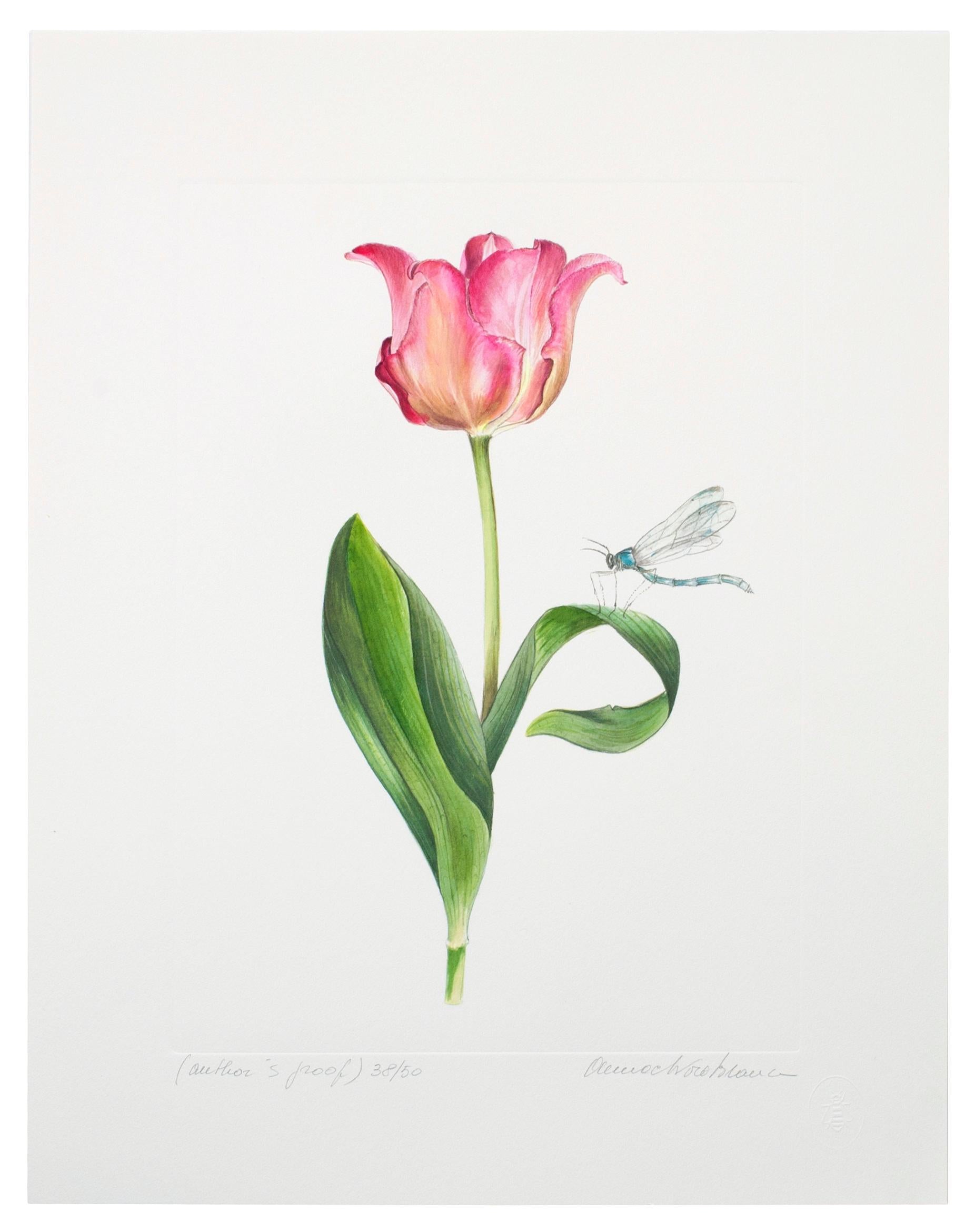 Italian Series of Watercolor Tulip Prints by Anna Chiara Branca