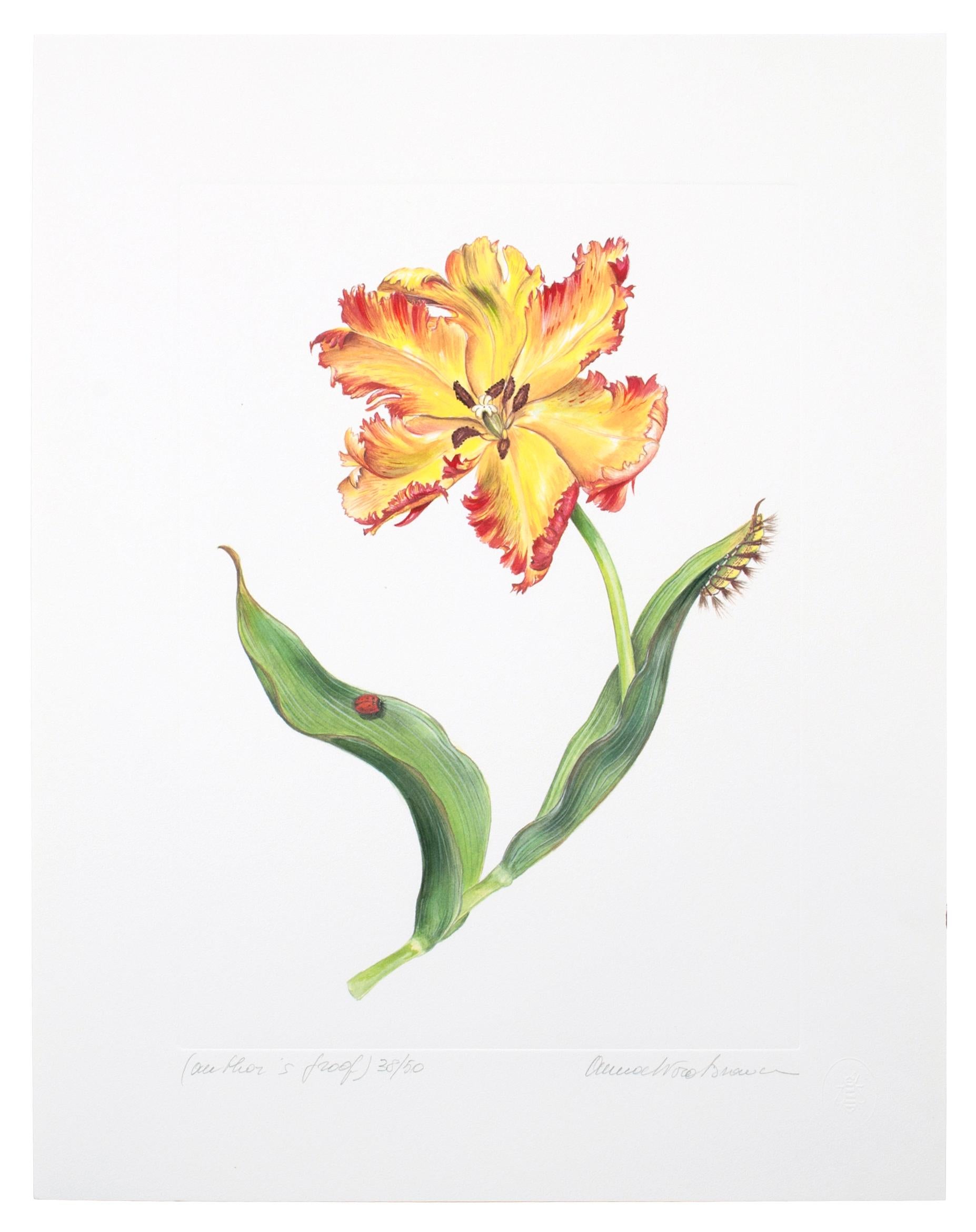 Series of Watercolor Tulip Prints by Anna Chiara Branca In Excellent Condition In Palm Beach, FL