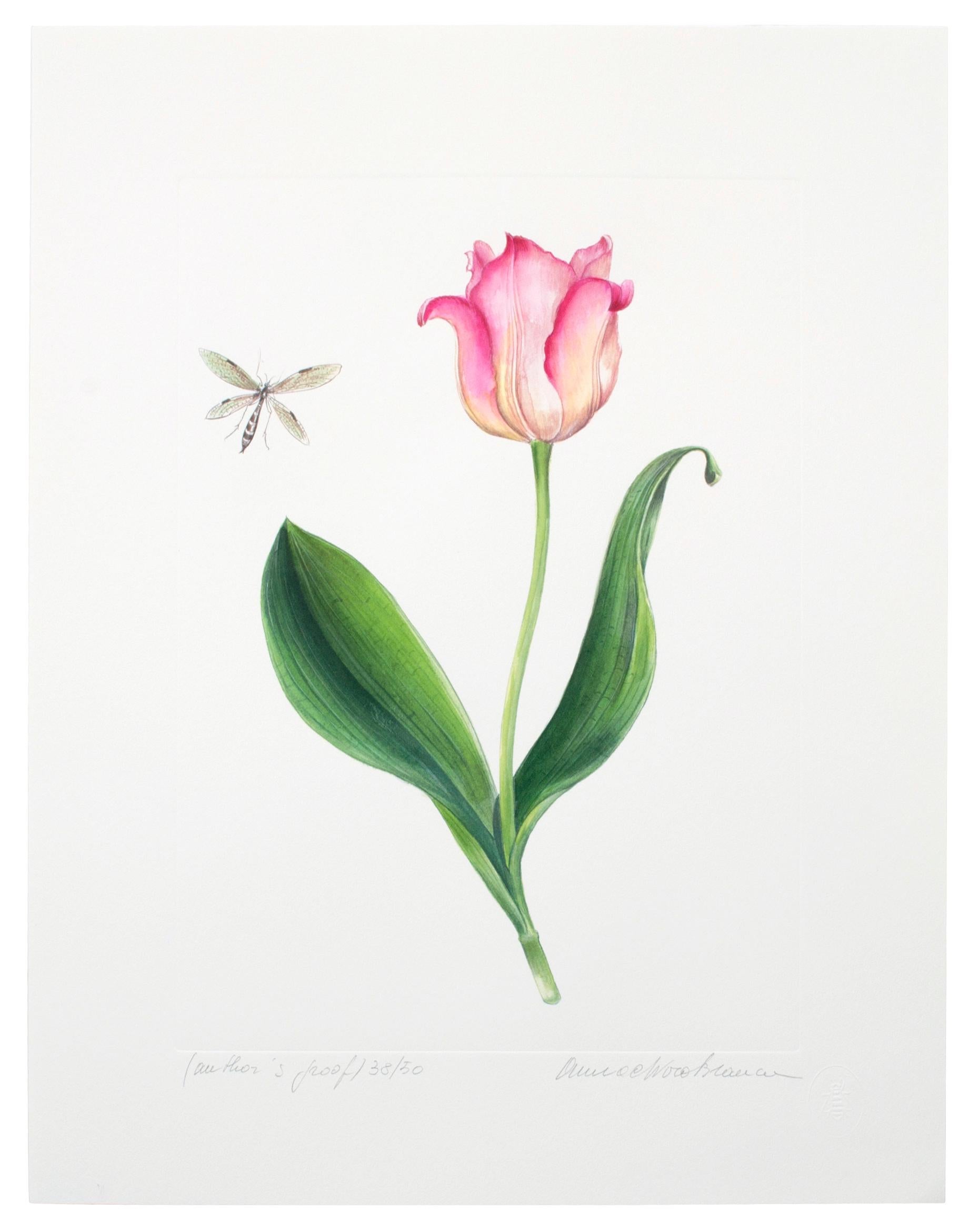 Contemporary Series of Watercolor Tulip Prints by Anna Chiara Branca
