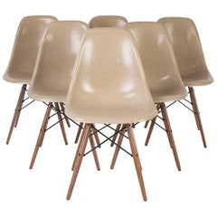 Set of 6 Greige Herman Miller Eames DSW Side Shell Chair