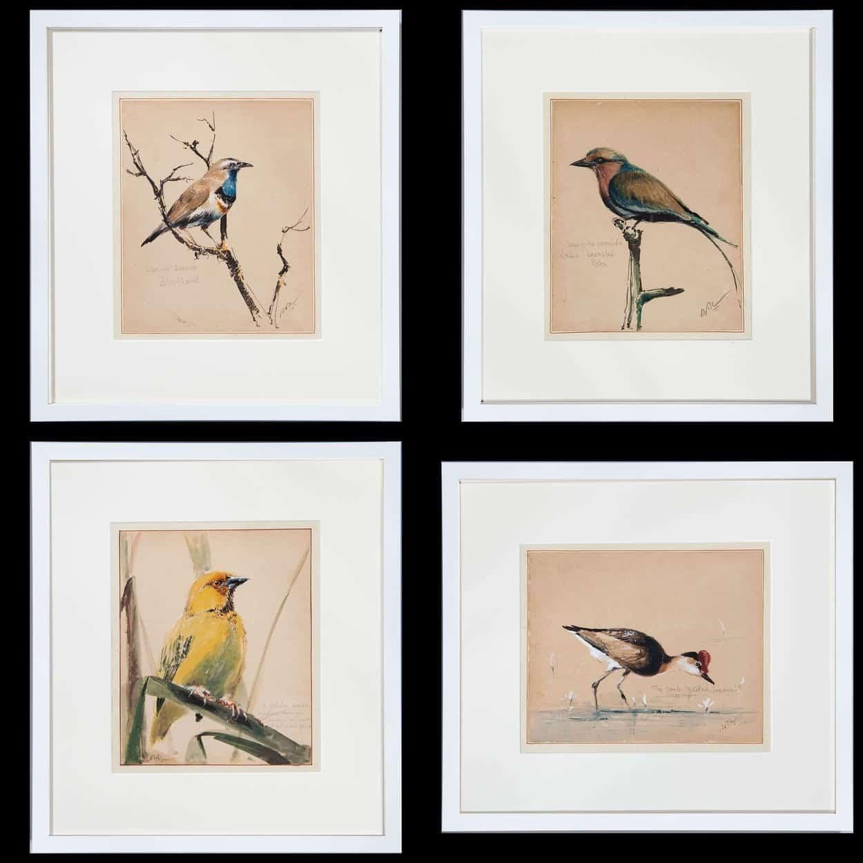 Hand-Painted Set of 12 1920s Ornithological Watercolors of Australian Interest