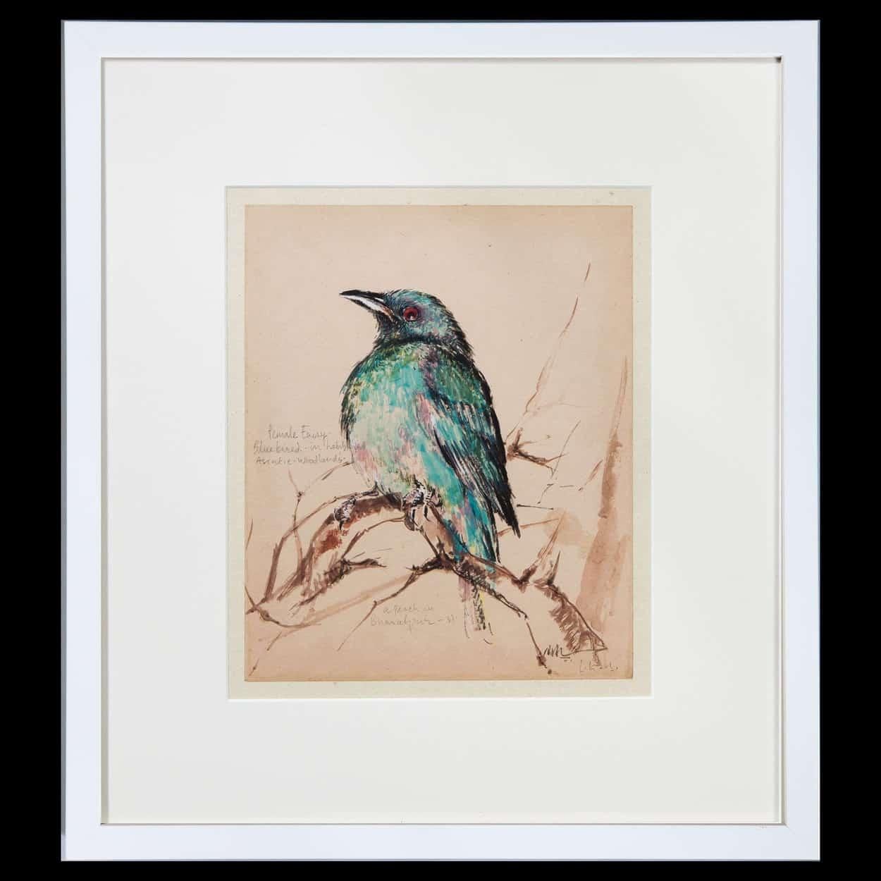 Set of 12 1920s Ornithological Watercolors of Australian Interest In Good Condition In London, by appointment only