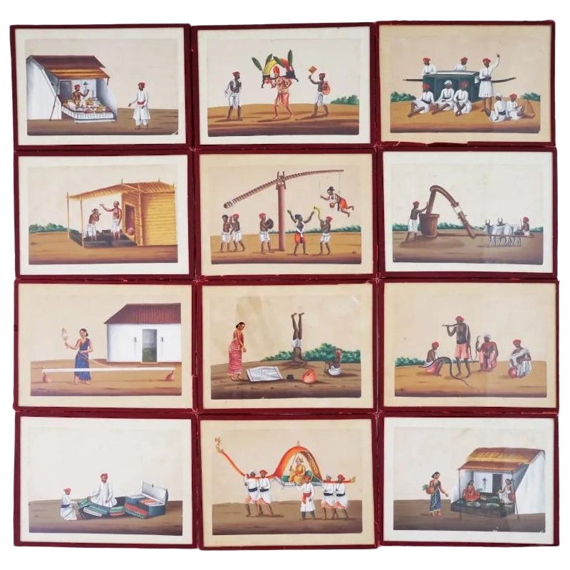 Ein Satz von 12 antiken Miniatur-Gemälden der Indian Company School im Angebot