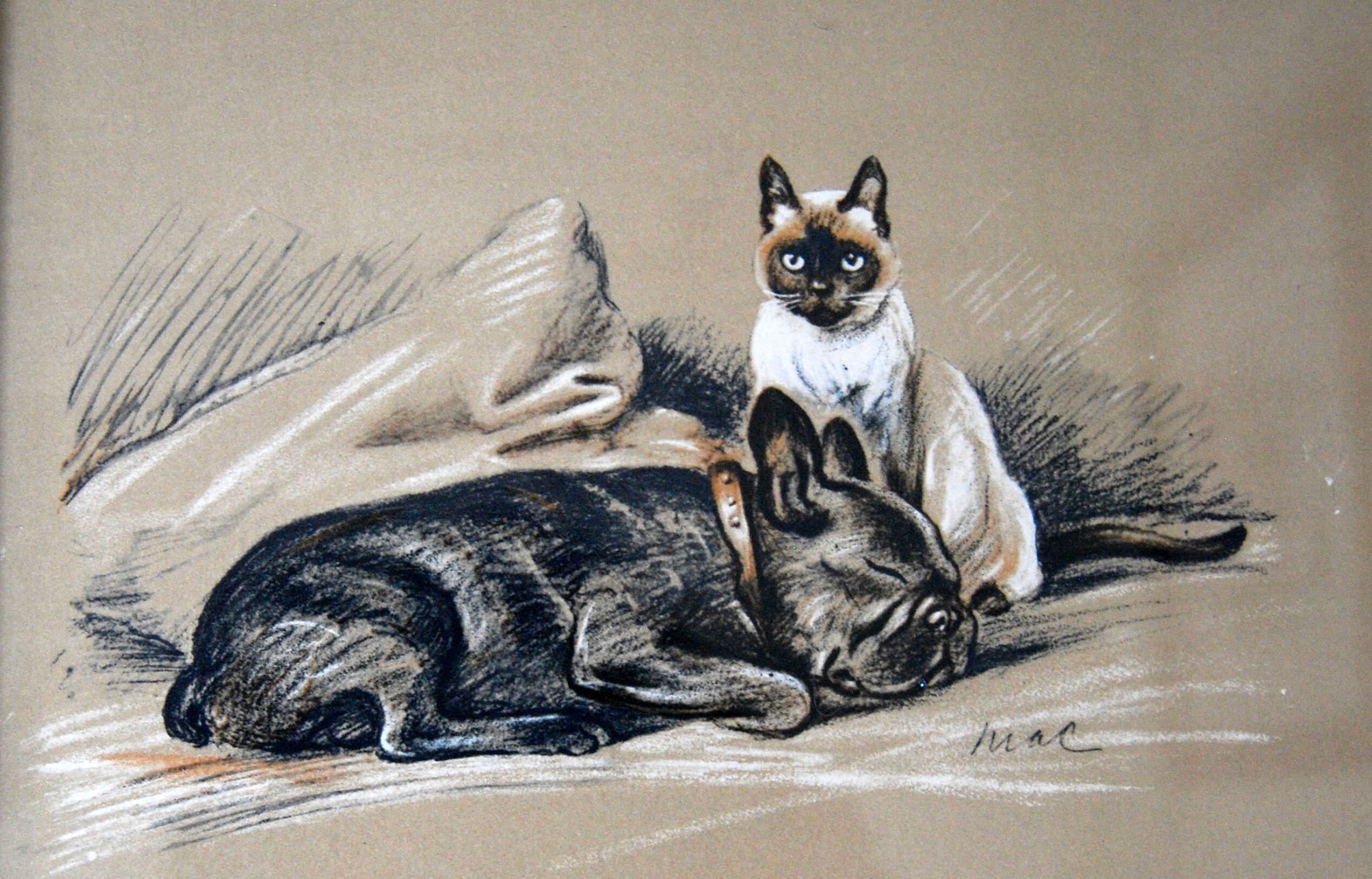 lucy dawson artist