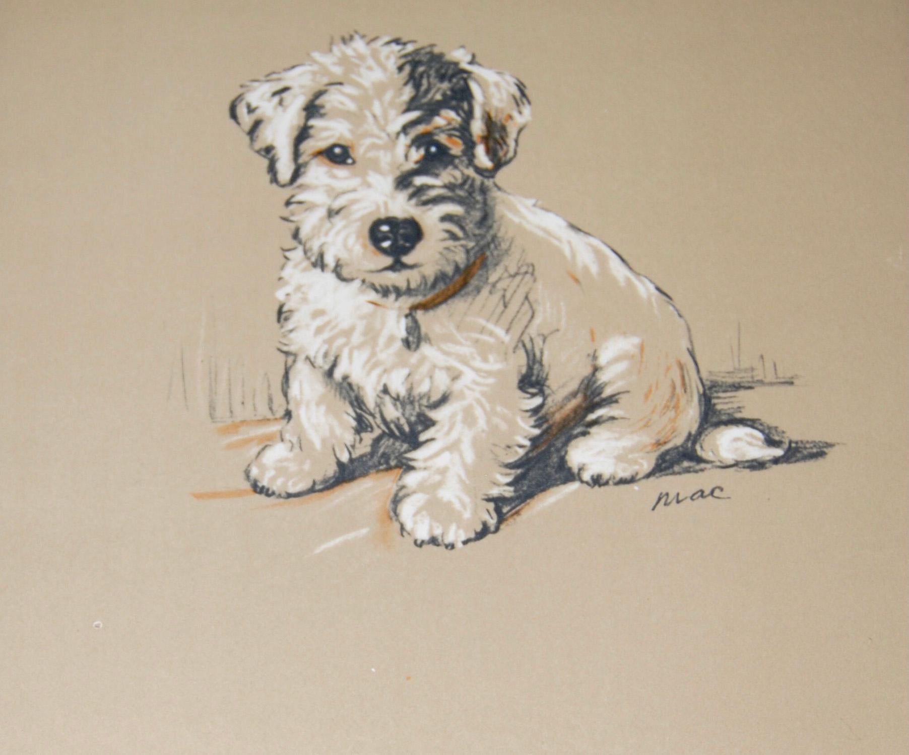 Set of 12 Lucy Dawson Dog Prints In Good Condition In Tetbury, Gloucestershire