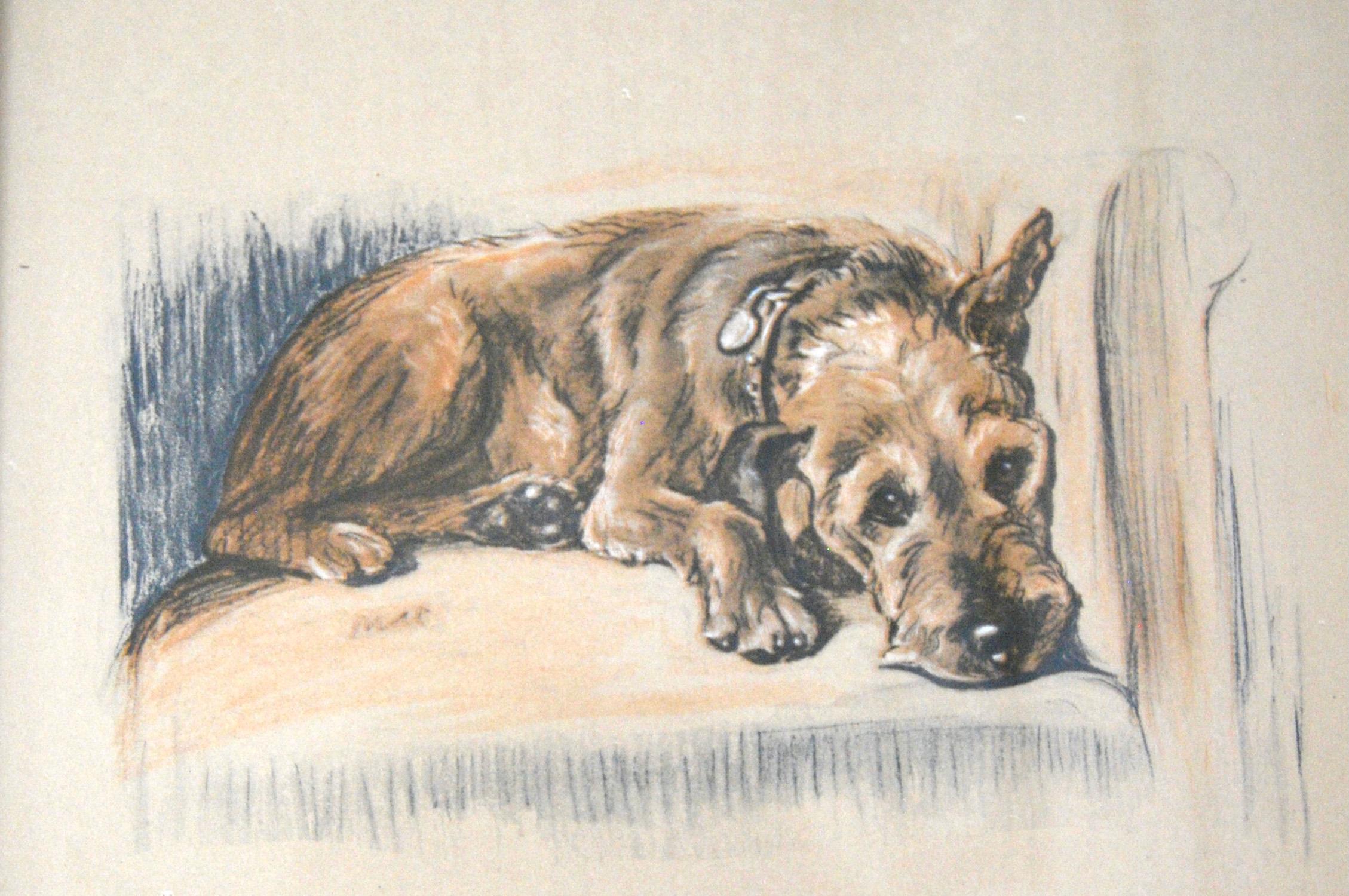 20th Century Set of 12 Lucy Dawson Dog Prints