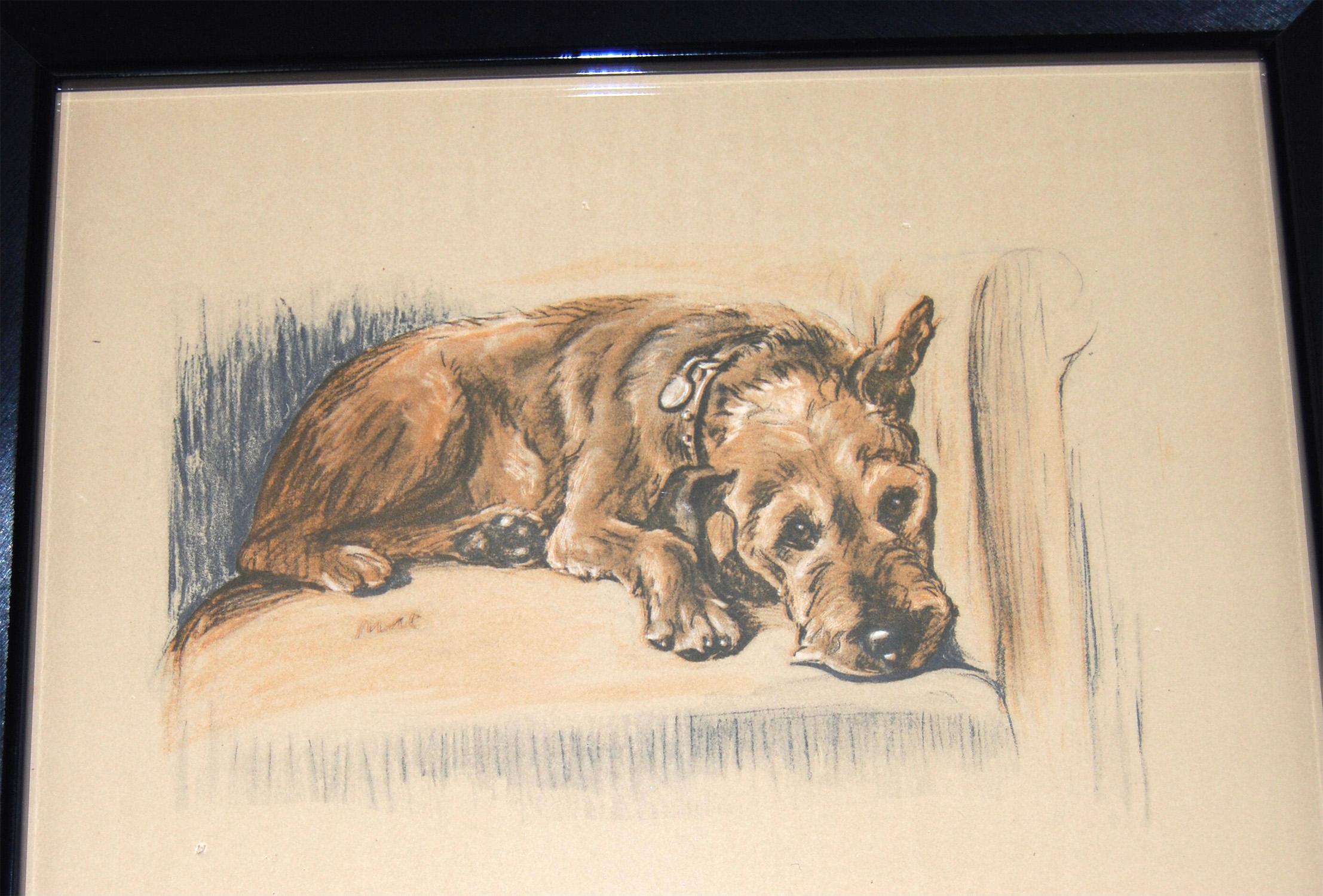 Paper Set of 12 Lucy Dawson Dog Prints