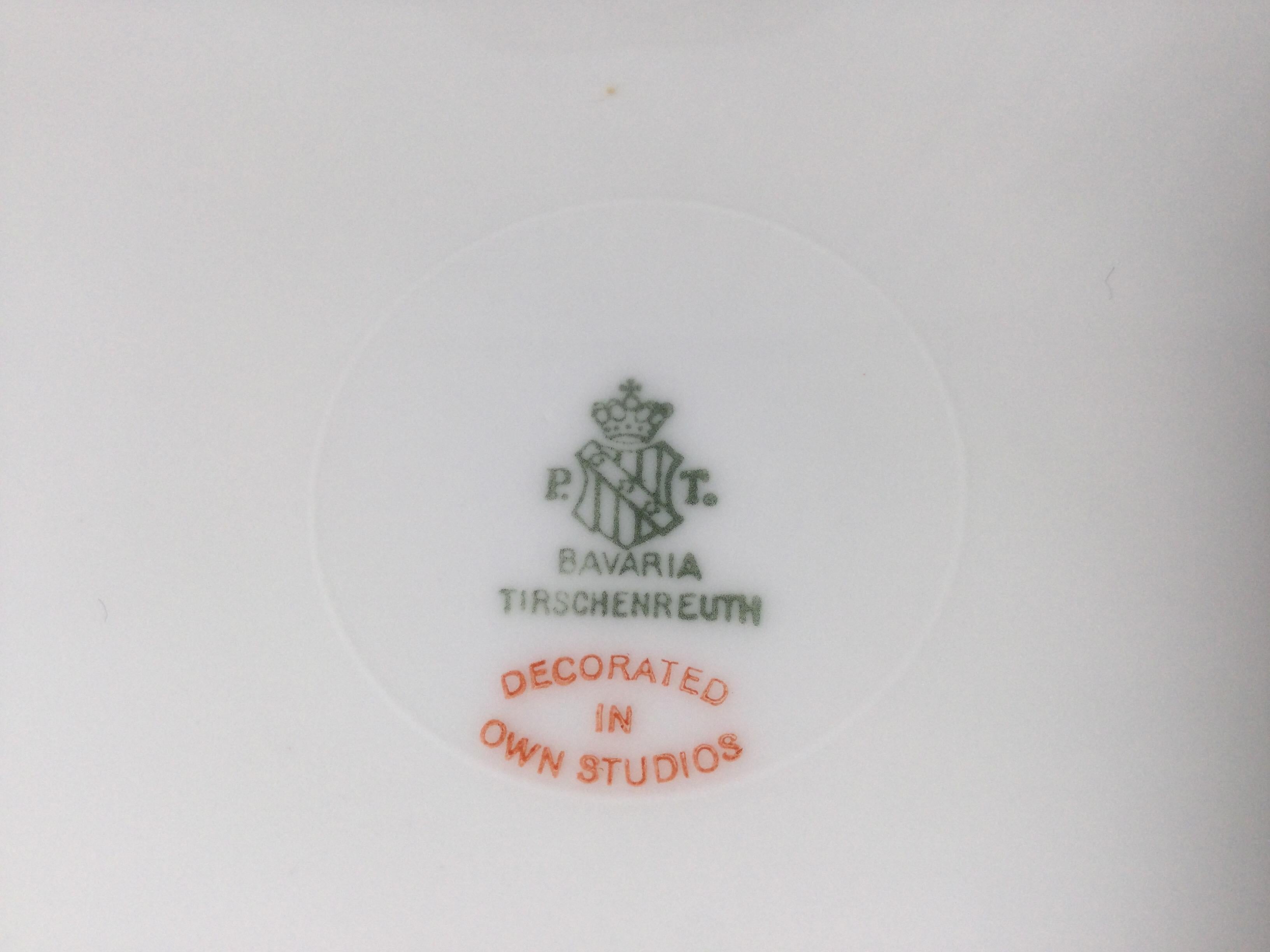 Set of 12 Tirschenreuth Porcelain Service Plates For Sale 4