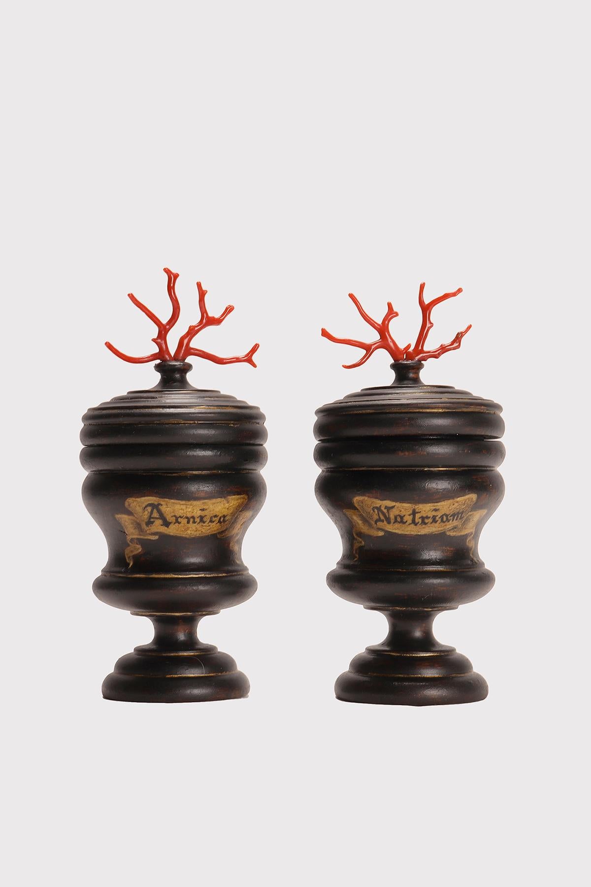 Set di due piccoli vasi da erboristeria in legno (Natriam, Arnica), nel più puro stile neoclassico. La superficie è rifinita in nero e  pad color oro con uno sfondo color crema nell'etichetta. Un esemplare di Naturalia, un ramo di corallo rosso