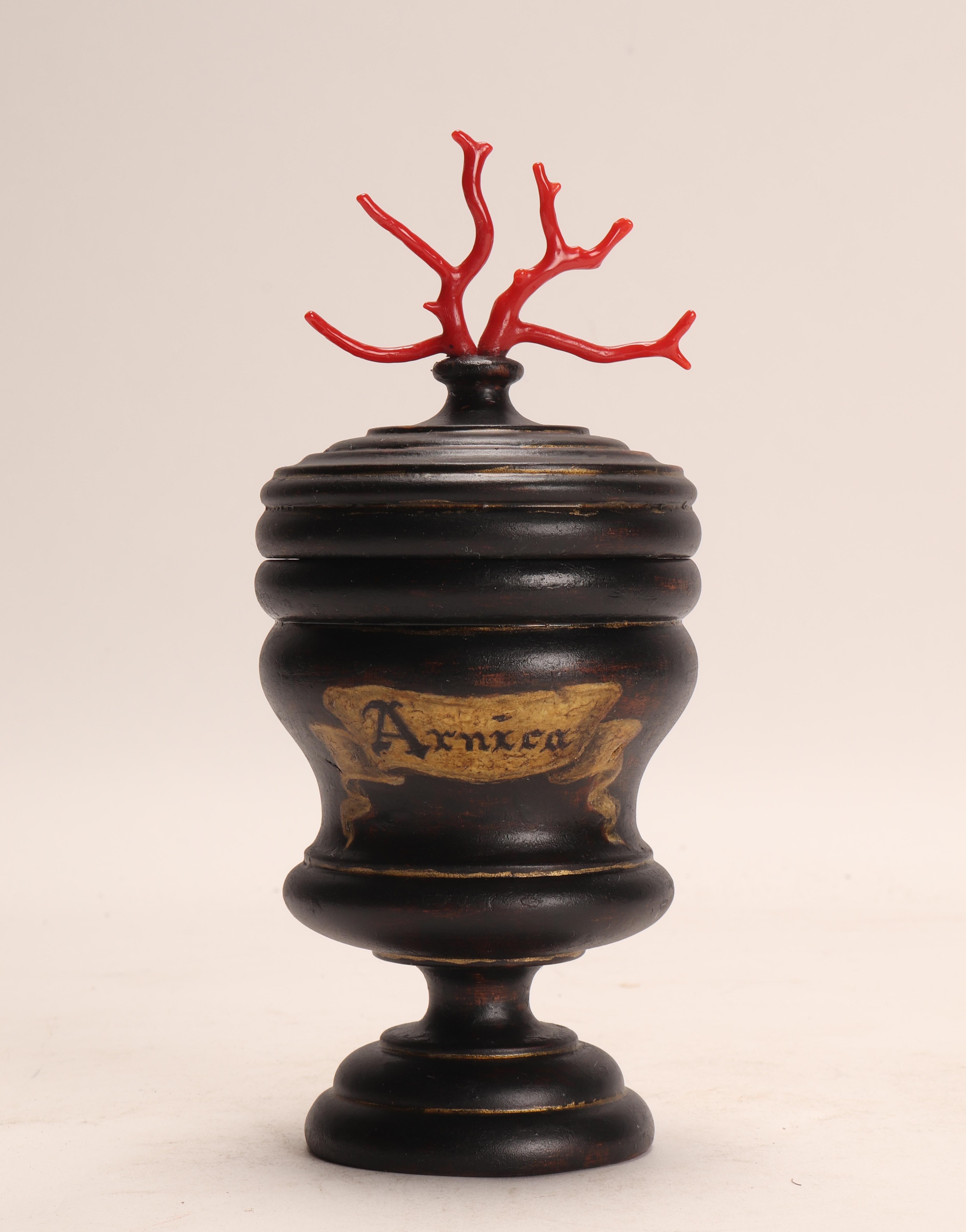 Italian Set of 2 Herbalist Pharmacy Wooden Jars, Italy, circa 1850 For Sale