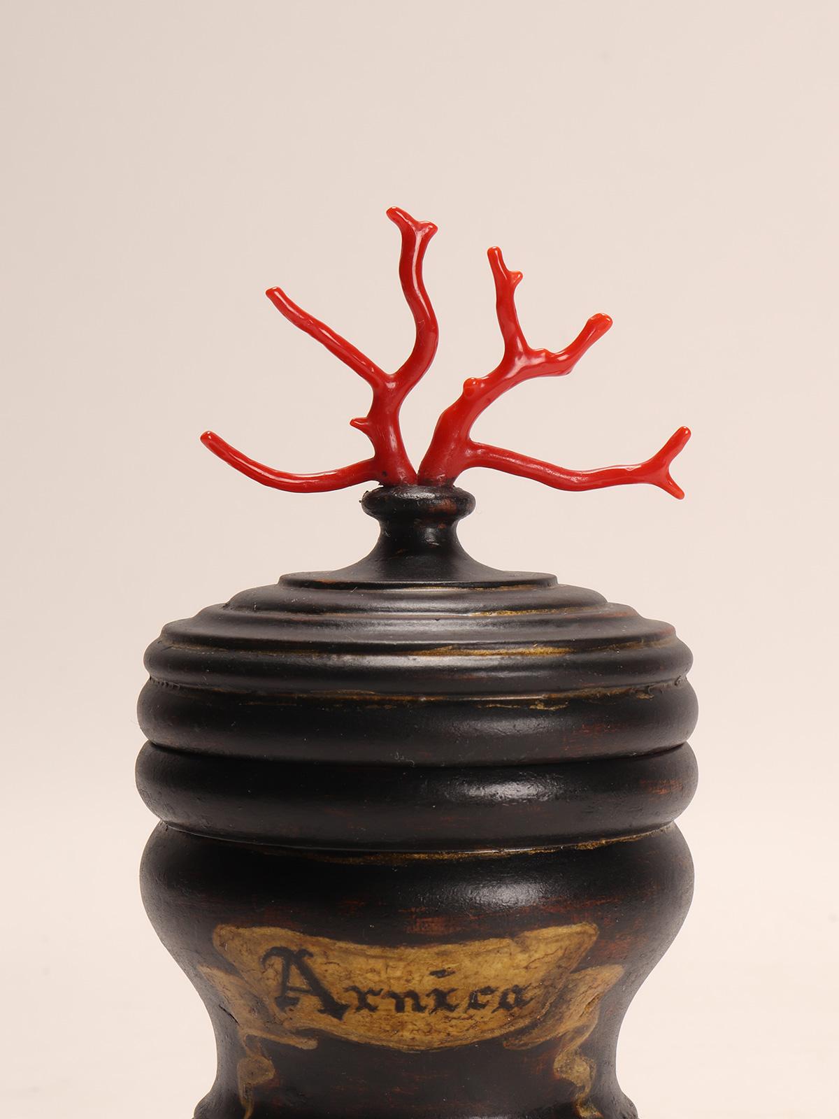 Corallo Set di 2 vasi in legno da farmacia per erboristeria, Italia, circa 1850. in vendita