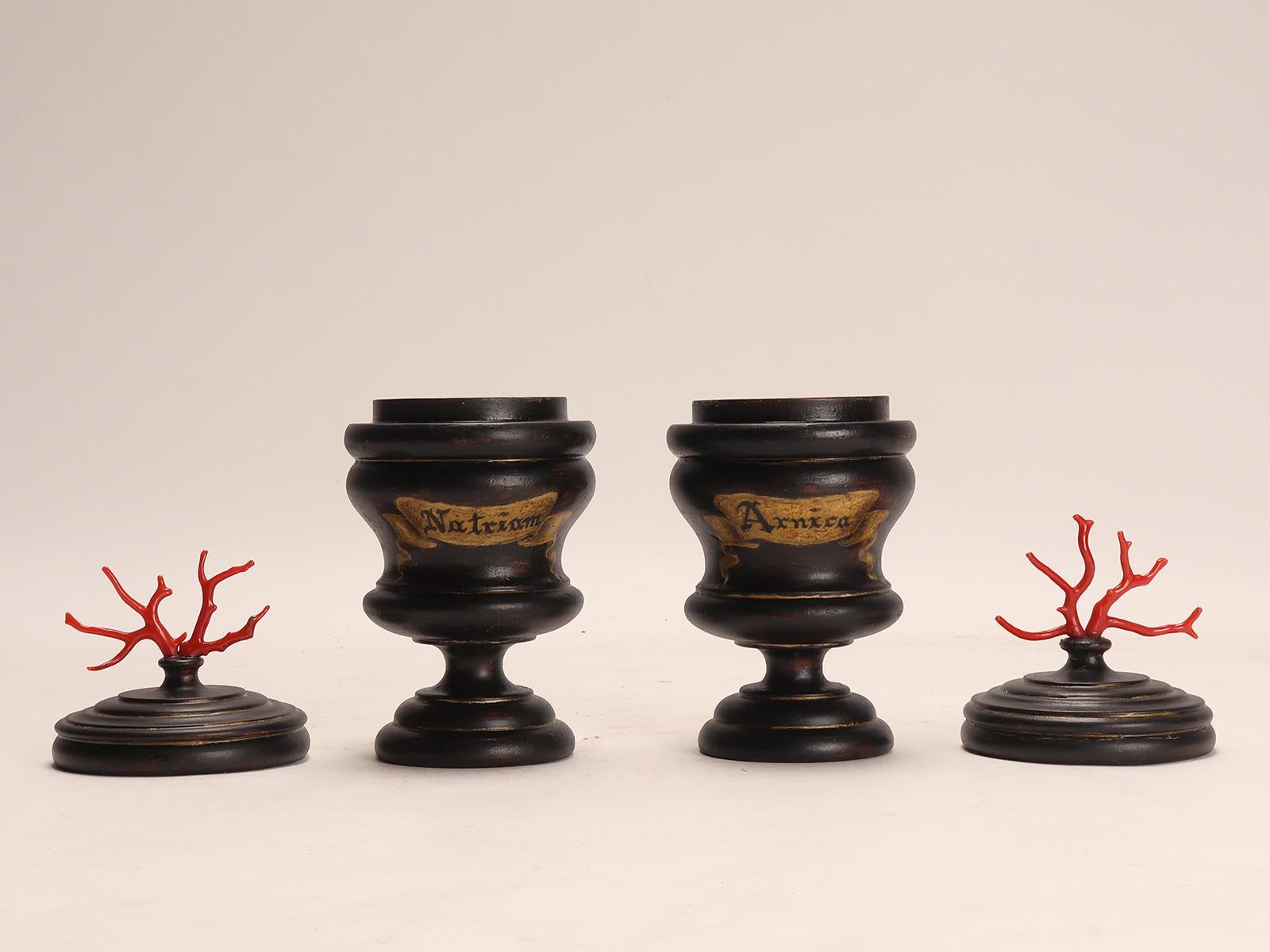 Set di 2 vasi in legno da farmacia per erboristeria, Italia, circa 1850. in vendita 1