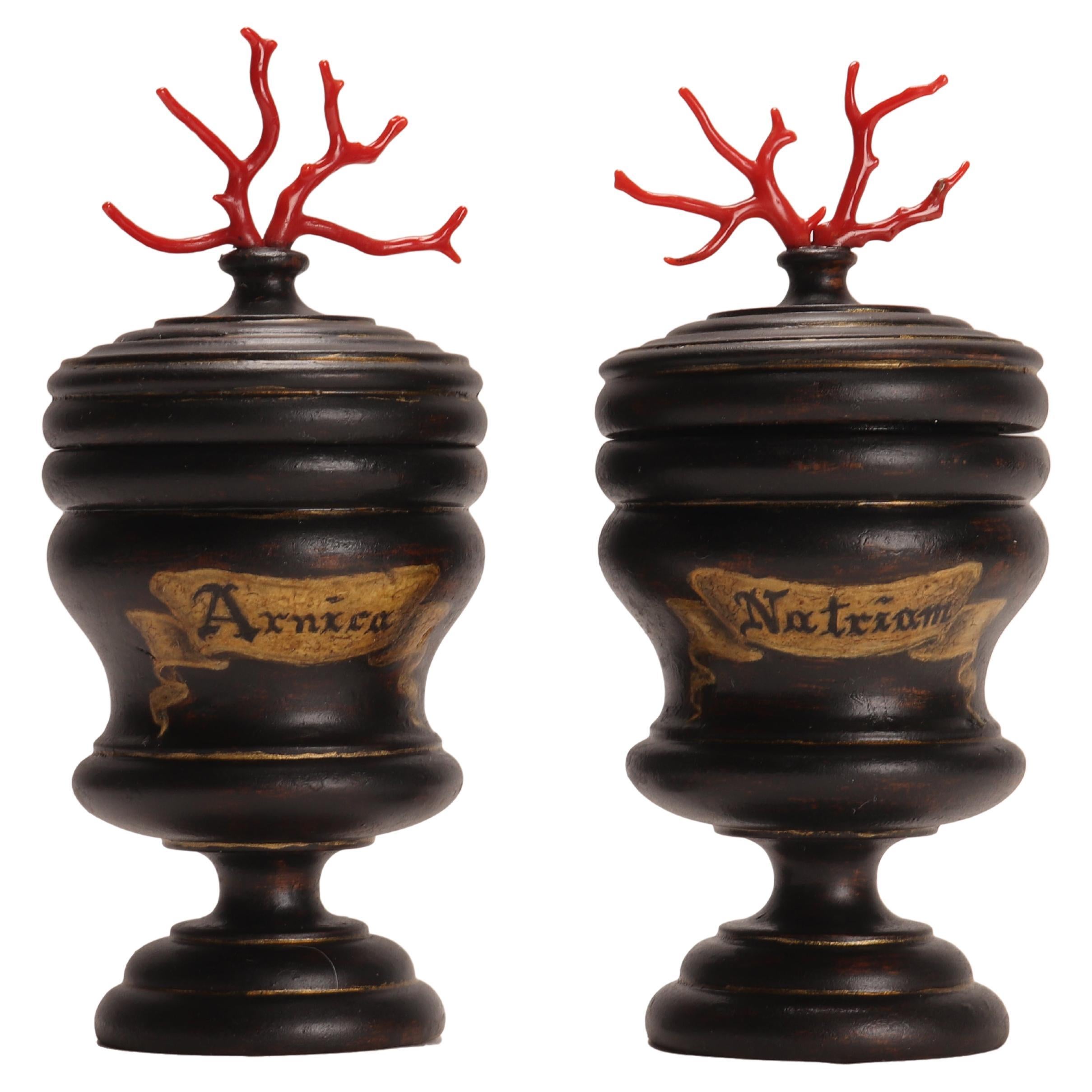 Set of 2 Herbalist Pharmacy Wooden Jars, Italy, circa 1850 For Sale