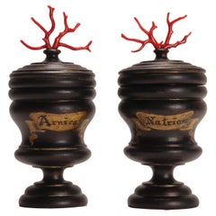 Set of 2 Herbalist Pharmacy Wooden Jars, Italy, circa 1850