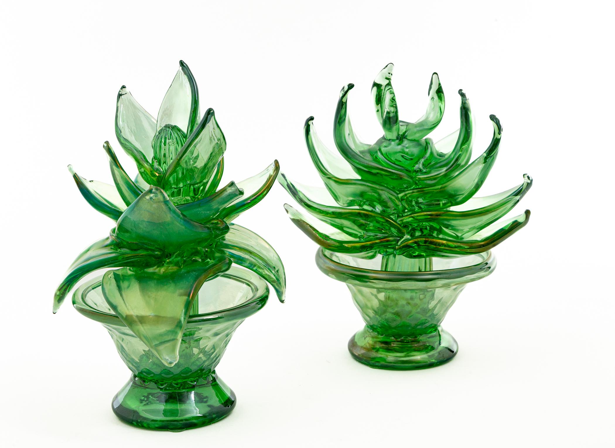 Un encantador conjunto de 2 pequeñas plantas suculentas escultóricas en maceta, obras de arte artesanales y sopladas libremente.

Inspiradas en las obras originales de Napoleón Matinuzzi para Venini en la década de 1930, sopladas en su mayoría con