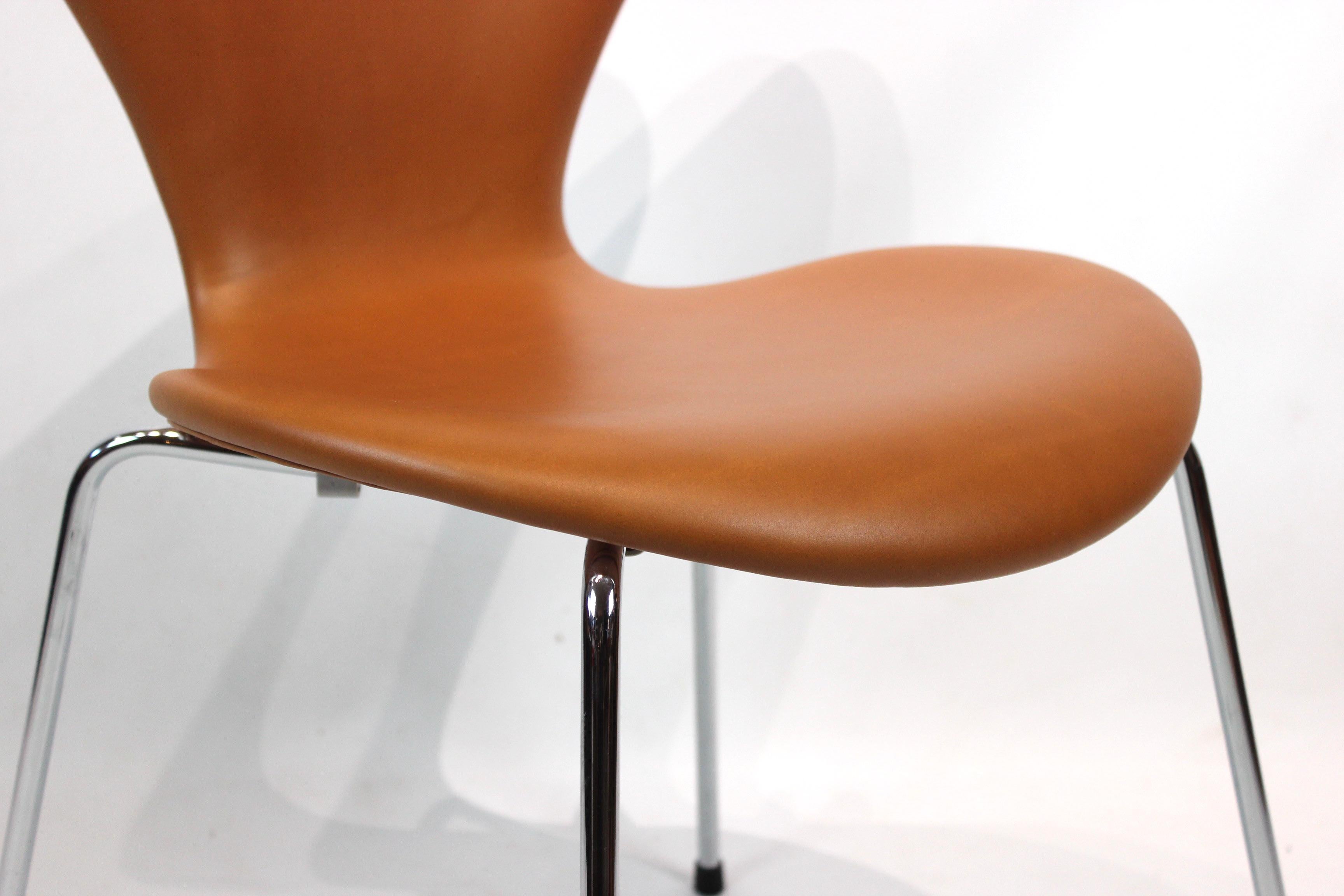 Scandinavian Modern Set of 4 Seven Chairs, Model 3107, by Arne Jacobsen and Fritz Hansen