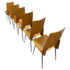 6 Esszimmerstühle aus blondem Holz von Carlo Ratti, Italien, 1950er Jahre