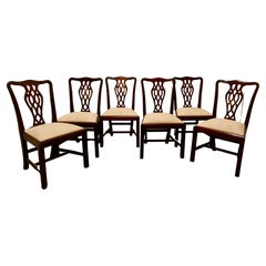 A Set of 6 Good Quality Chippendale Style Dining Chairs    