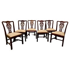 Set of 6 Good Quality Chippendale Style Mahogany Dining Chairs