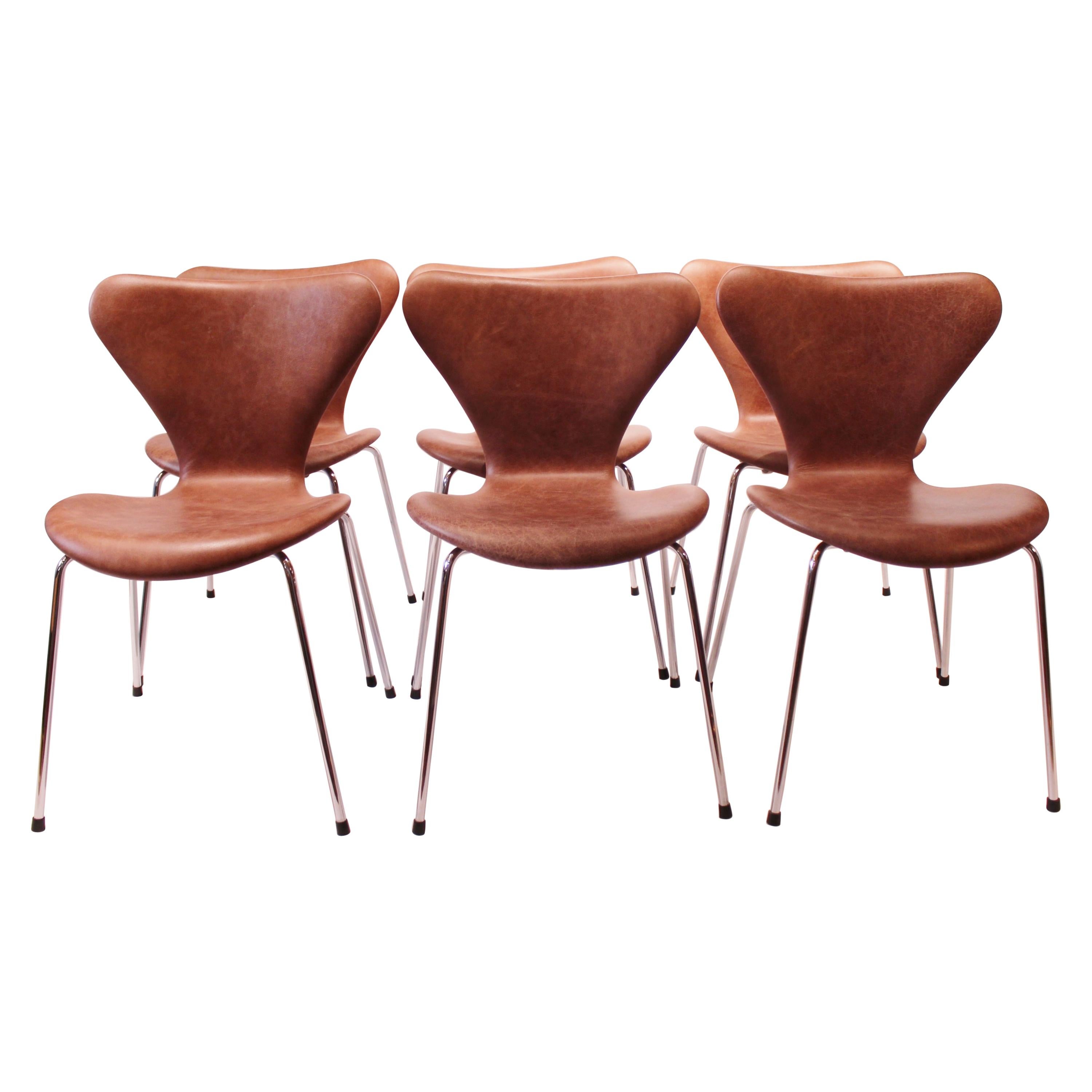 Set of six Series Seven Chairs, Model 3107, Designed by Arne Jacobsen, 1980s