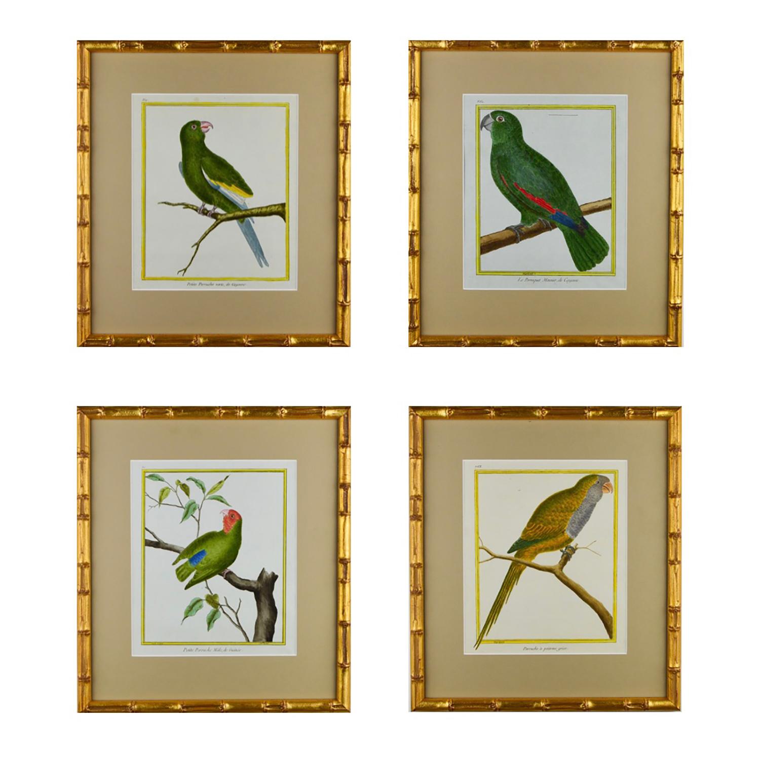 French Set of 8 18th Century Martinet Parrots