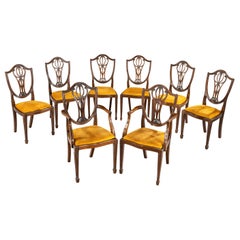 Set of 8 '6+2' Chairs of Classical Hepplewhite Chairs