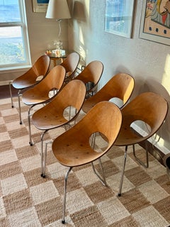 A set of 8 mid century modern Italian “Medea” chairs, by Vittorio Nobili 1950s