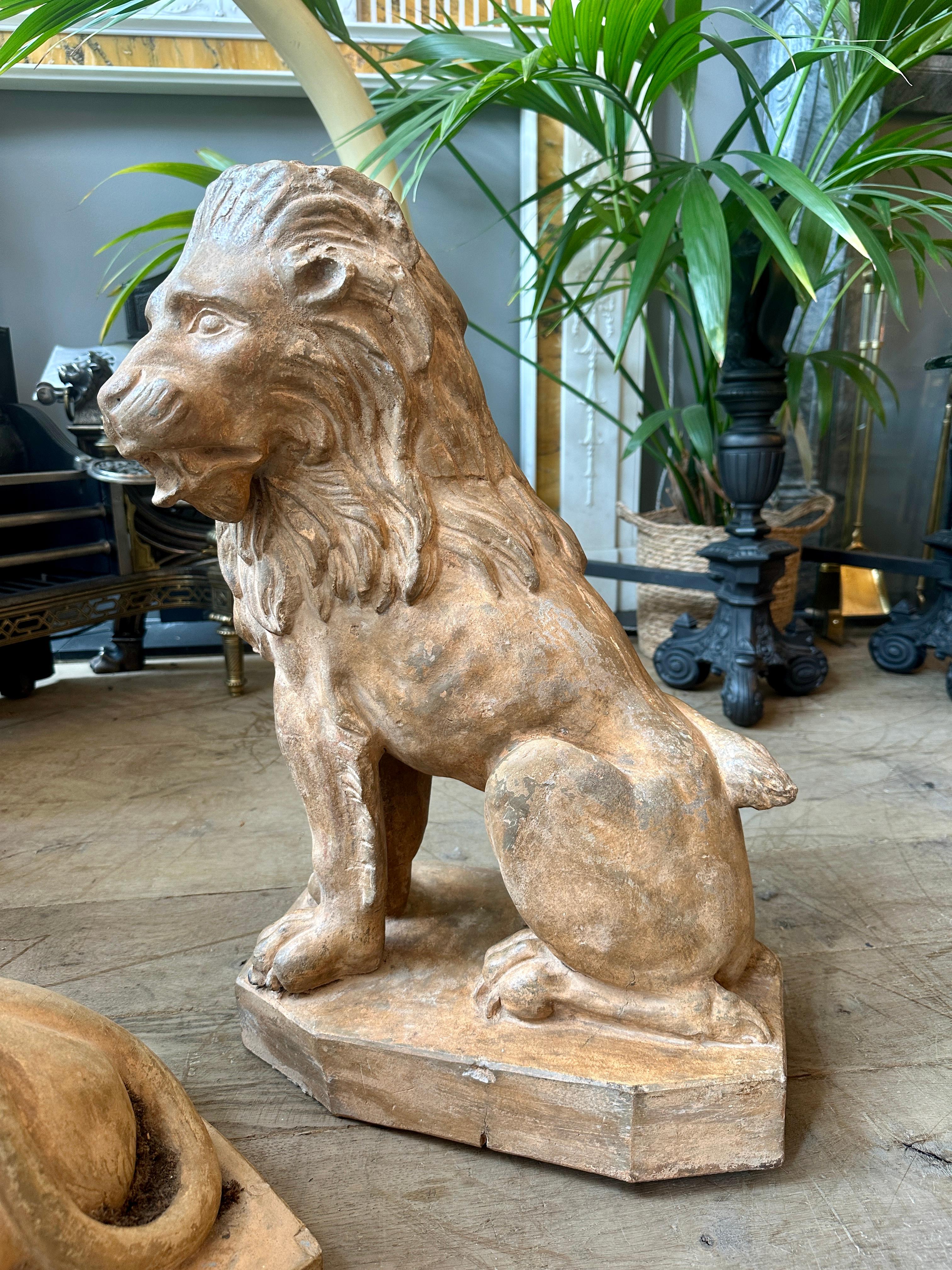 A Set Of Antique 19th C Terracotta Lion Sculptures im Angebot 11