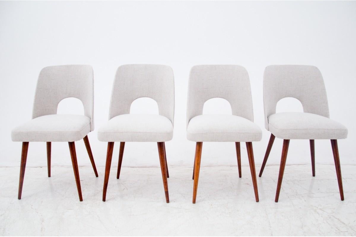 Mid-Century moderno A set of chairs 