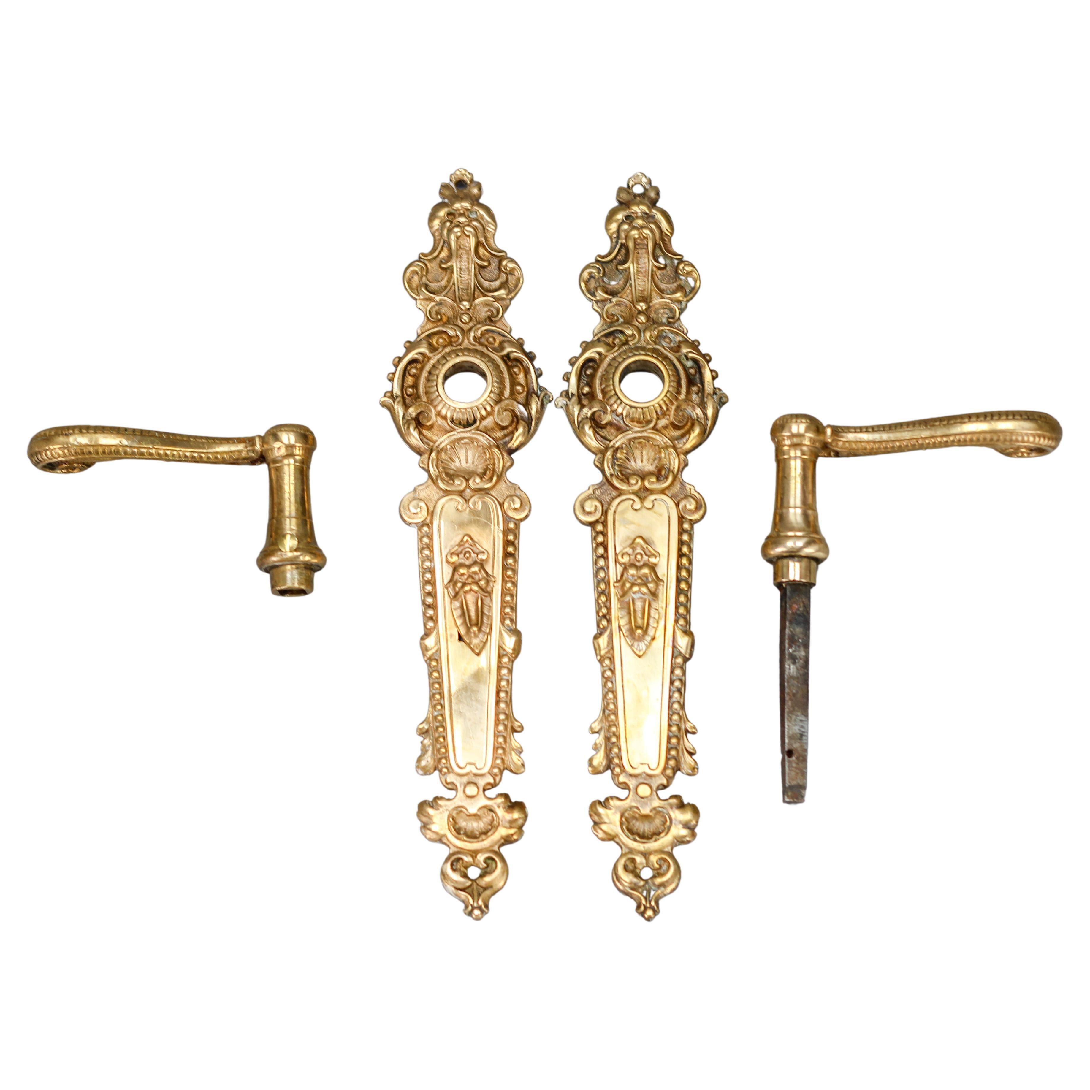 Set of Early 20th Century French Louis XV Style Brass Door Plates and  Handles For Sale at 1stDibs